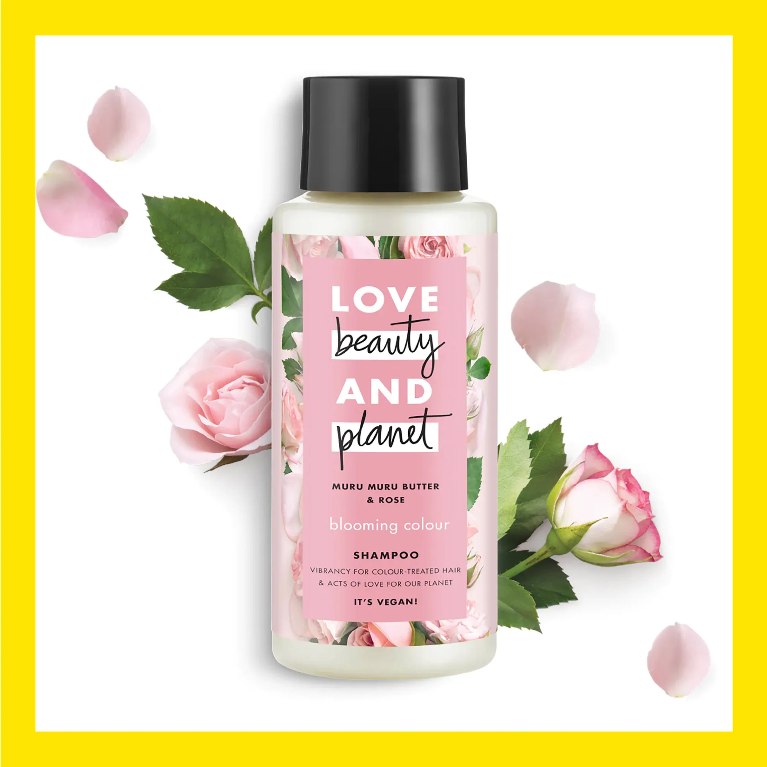 Love Beauty and Planet