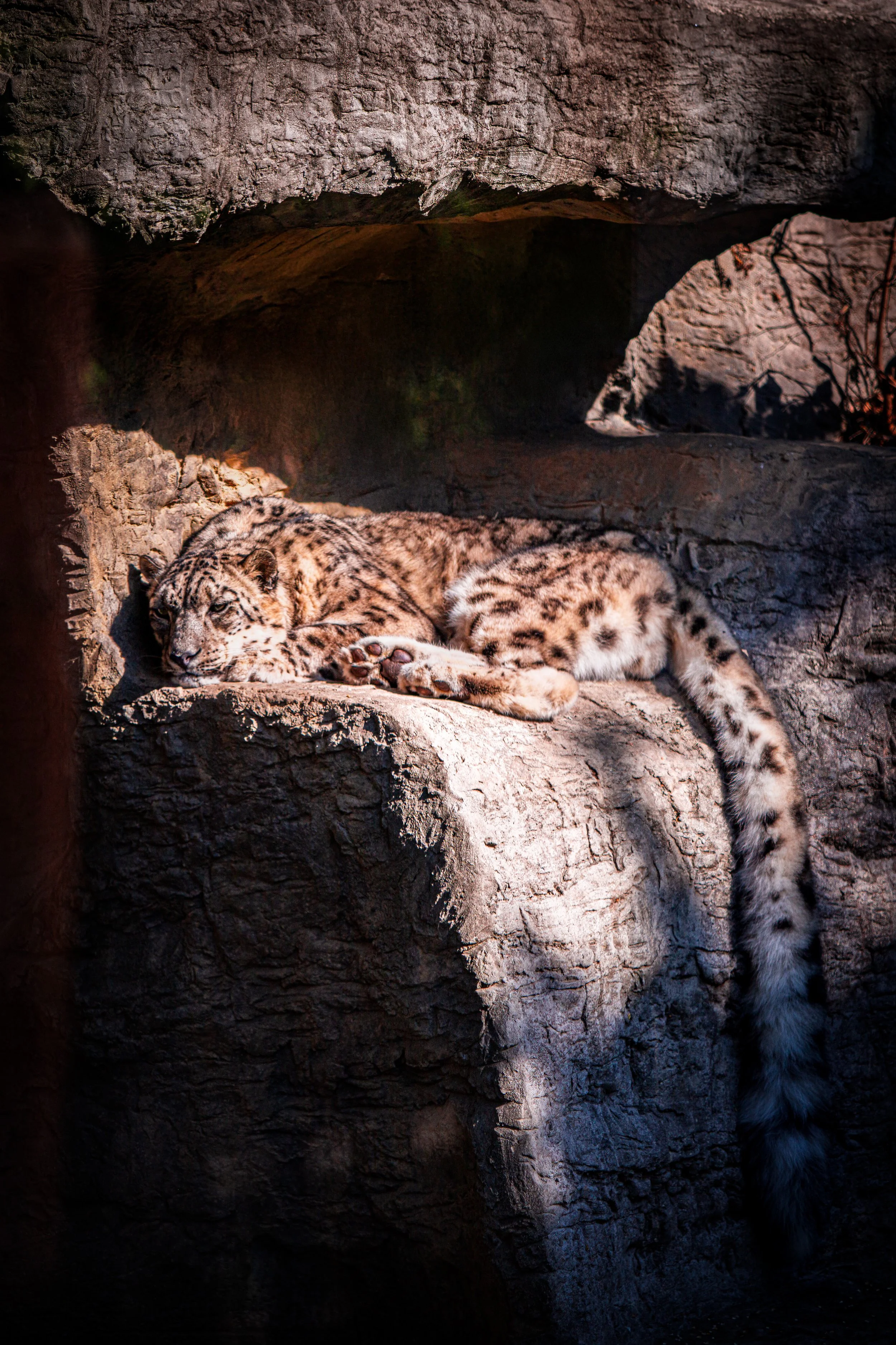 IMGL5865.jpg