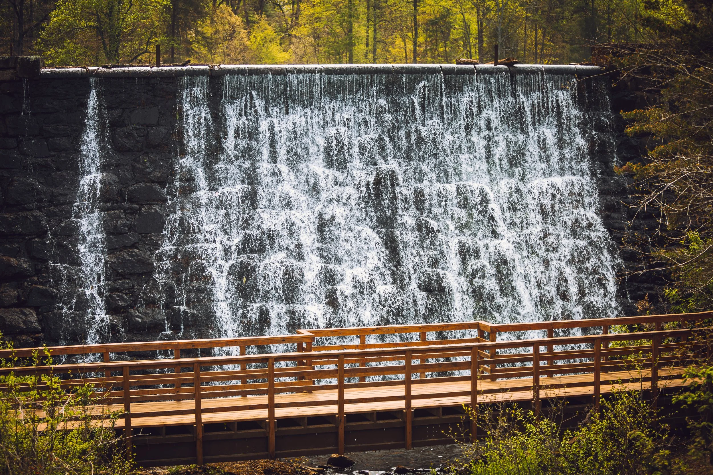 Greenville S.C.