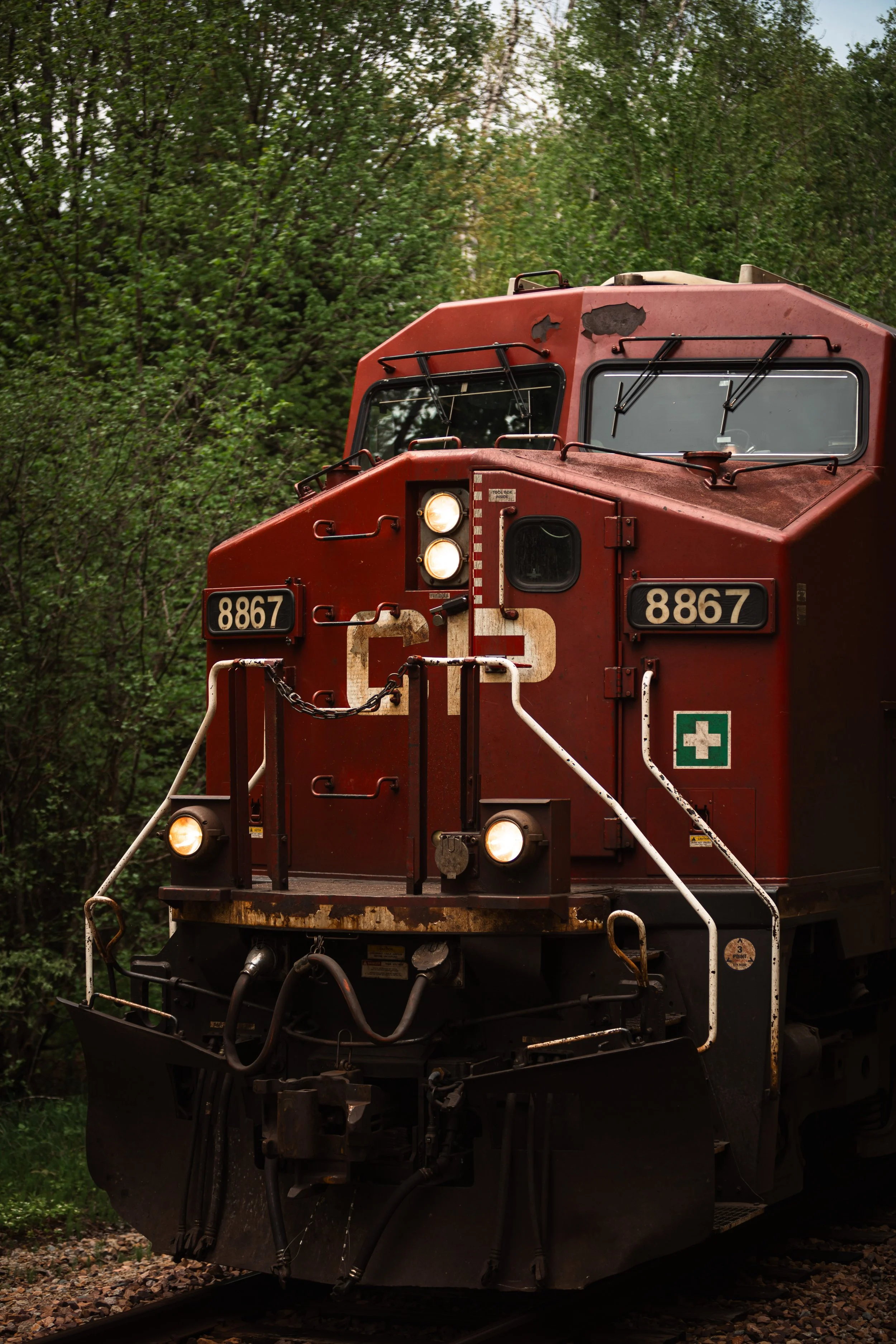IMGL3868.jpg