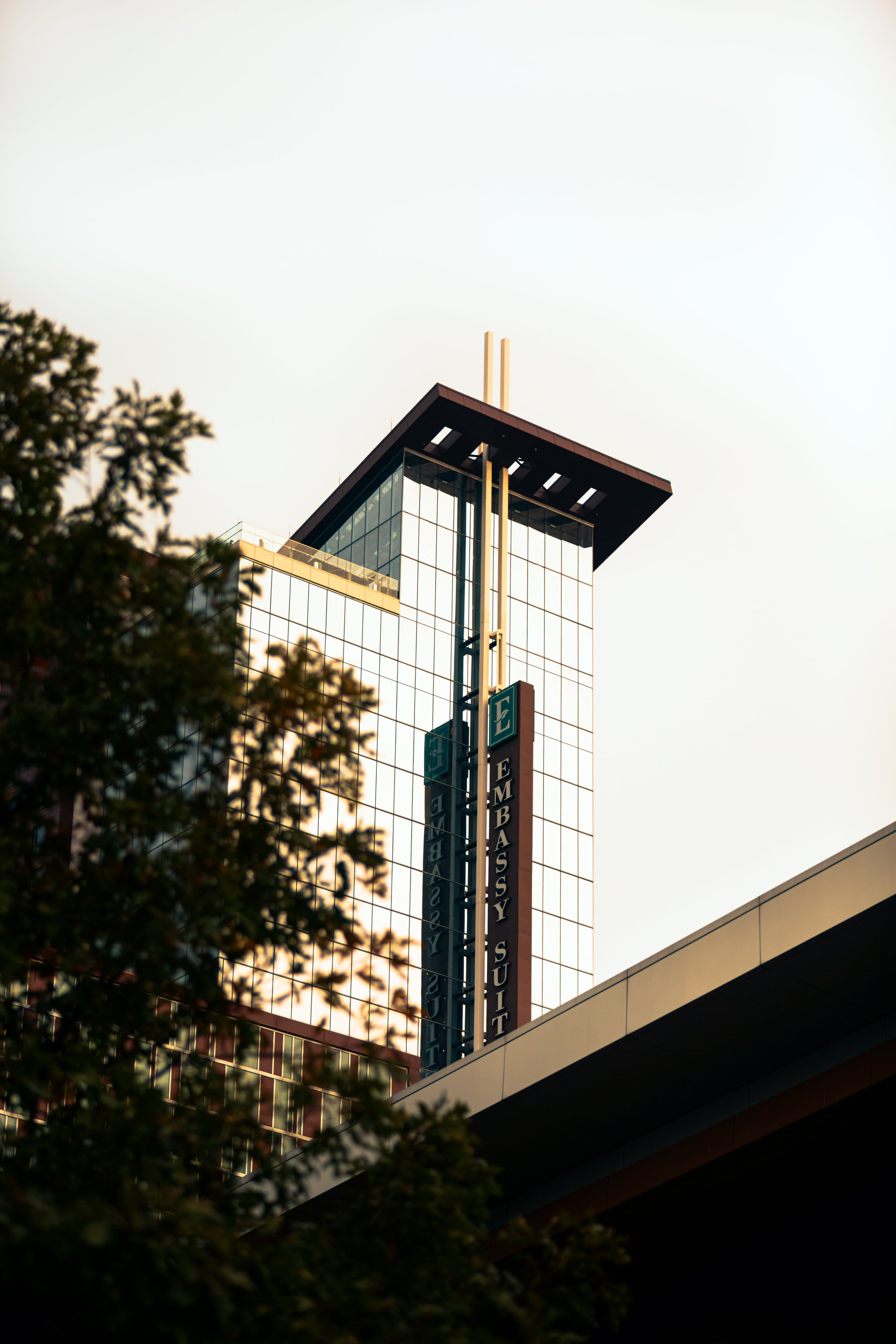 IMGL7444.jpg