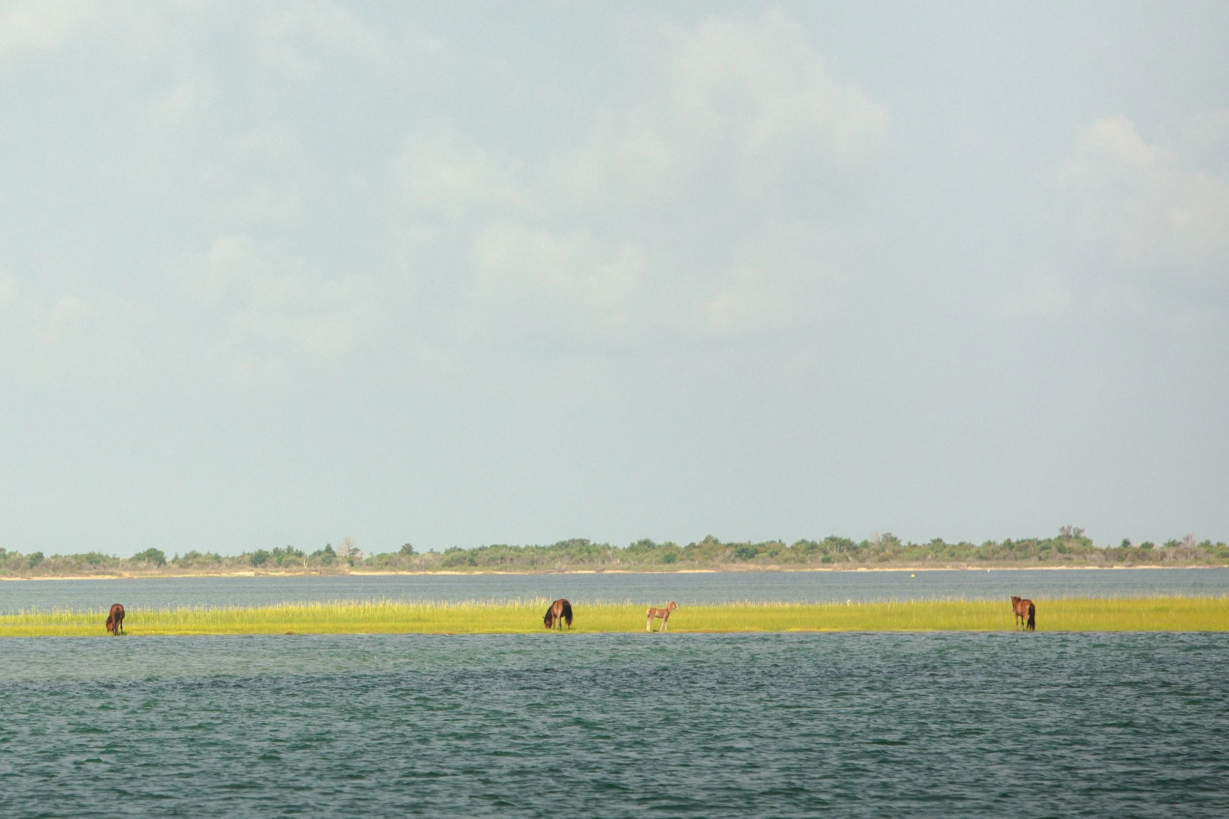 IMGL9472_2.jpg