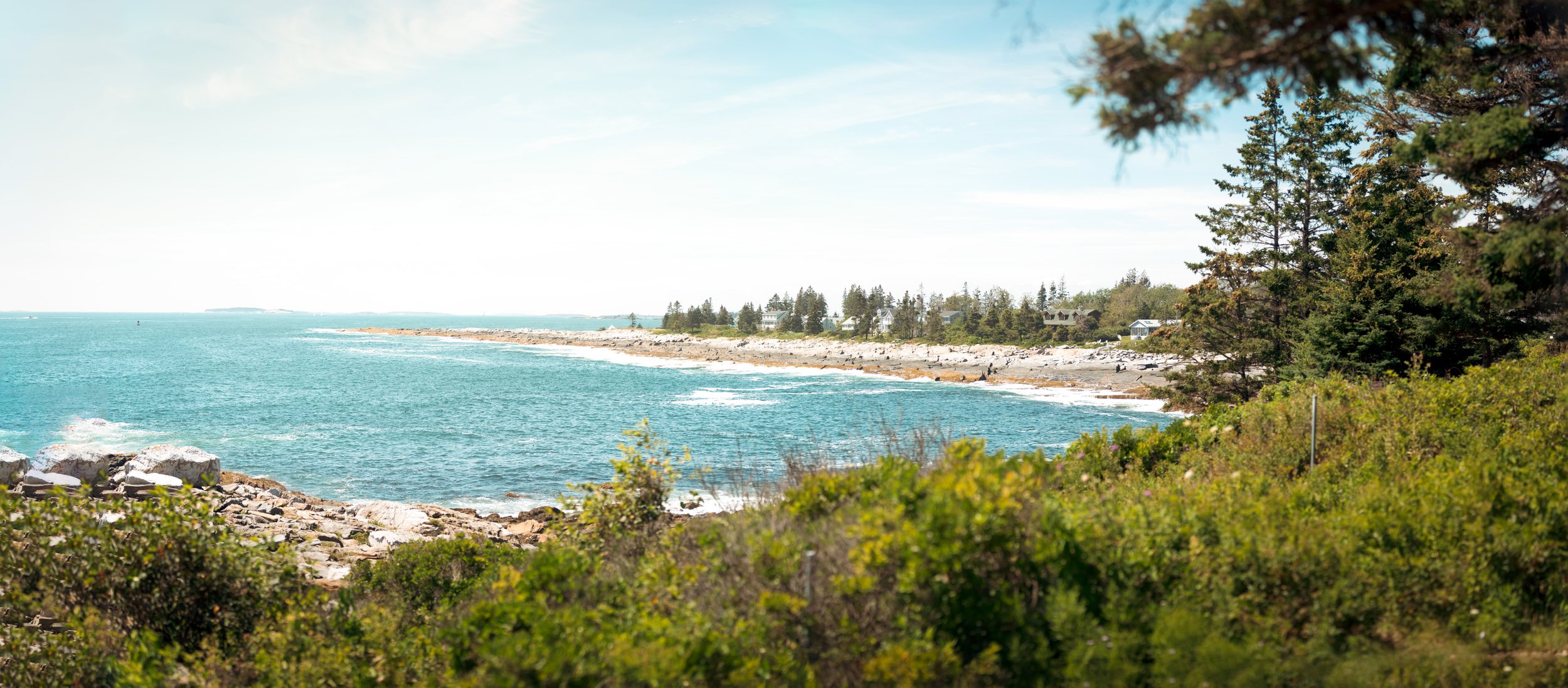 shoreline-1.jpg