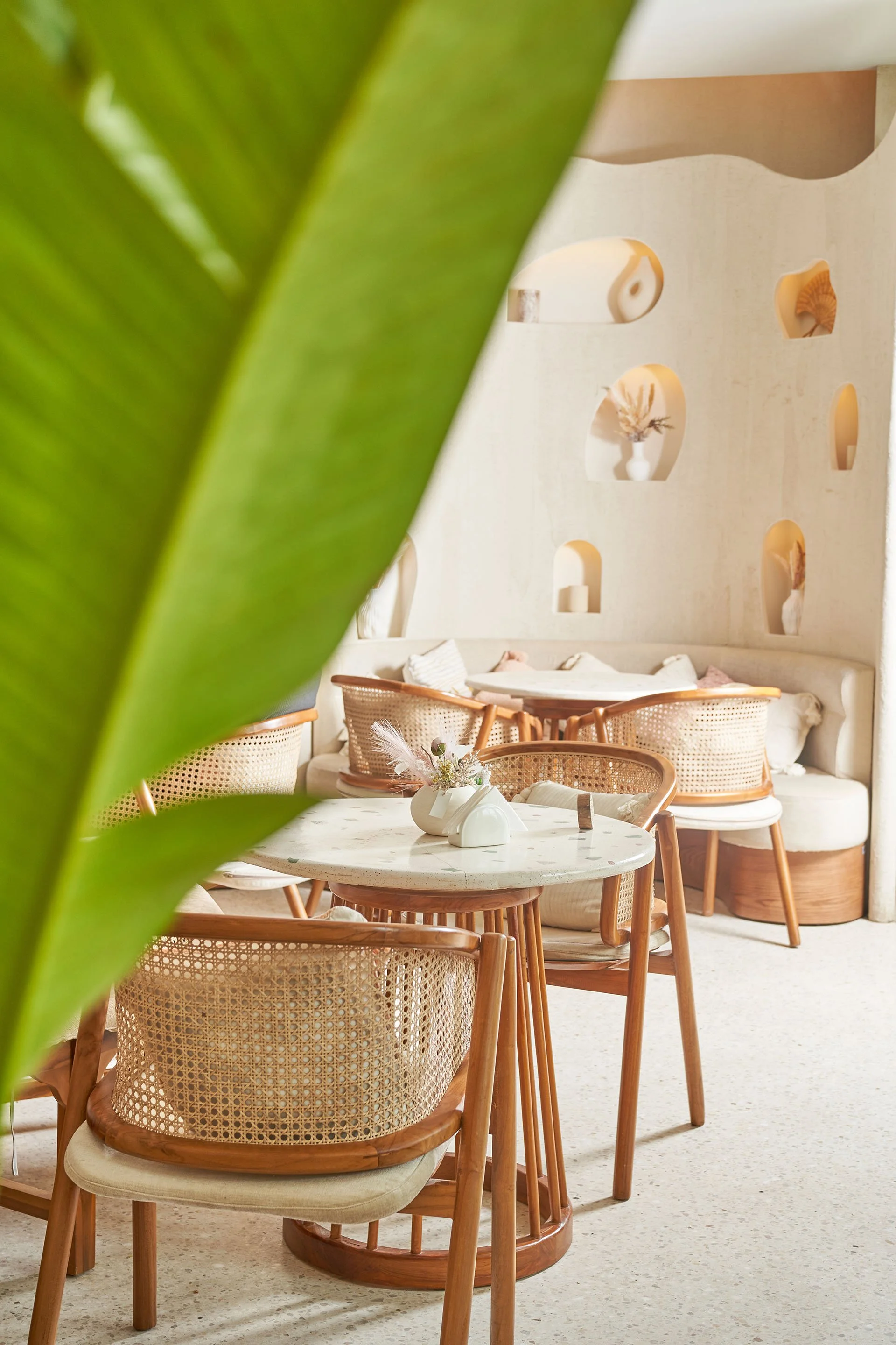 SARALSENIDIXSIWAR 21.jpg