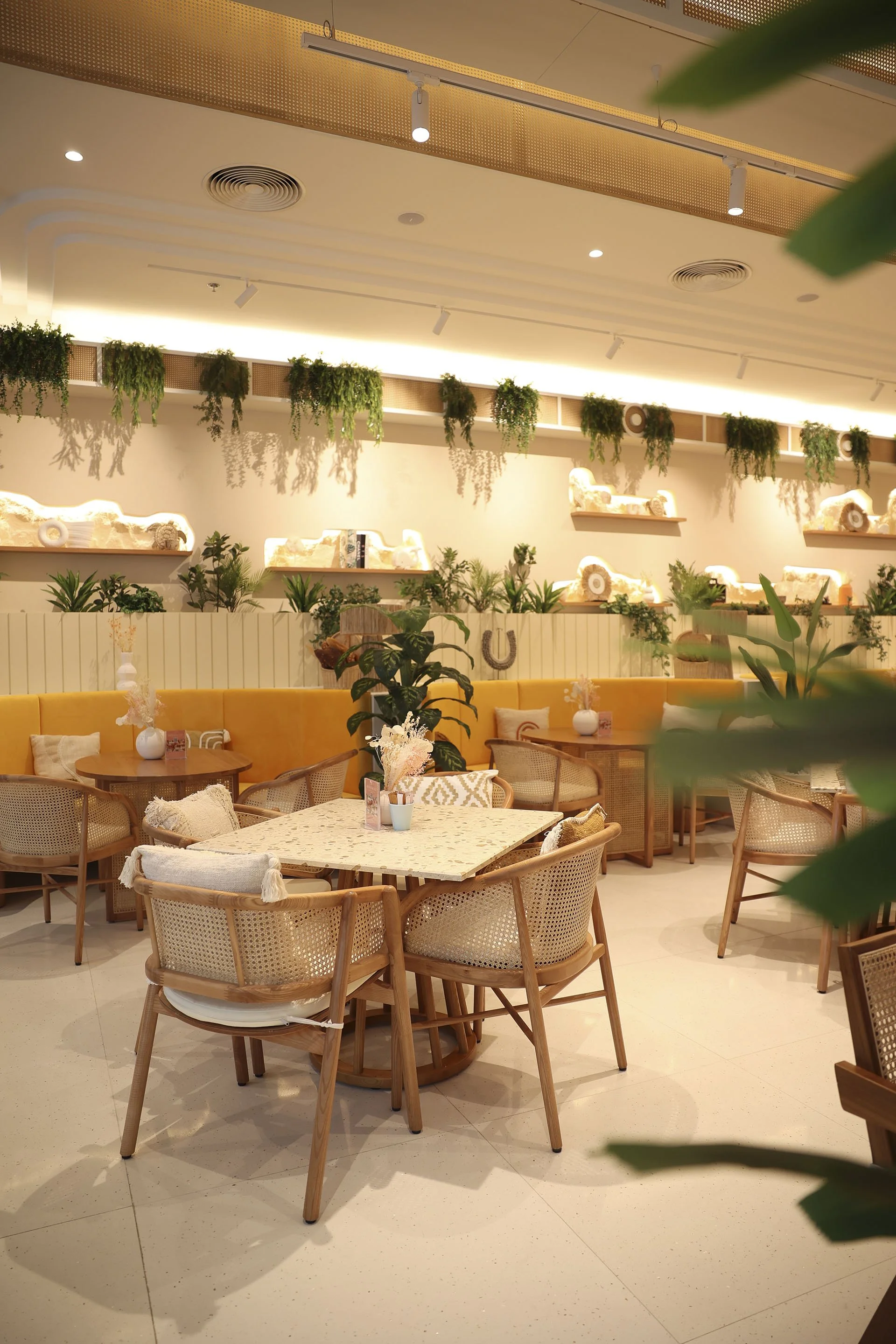 bunch and cake-11.jpg