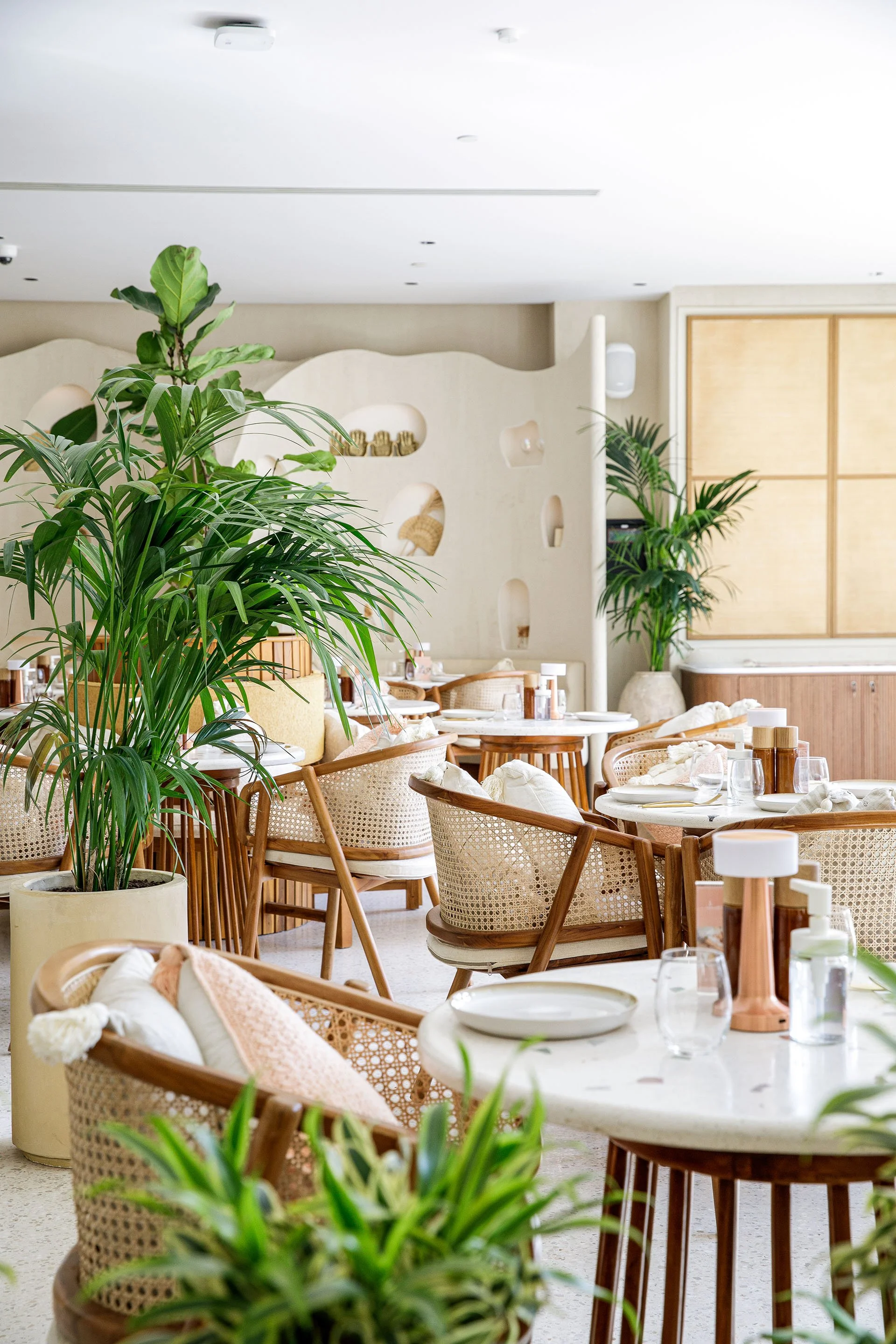 677A9044 copy-2 copy.jpg