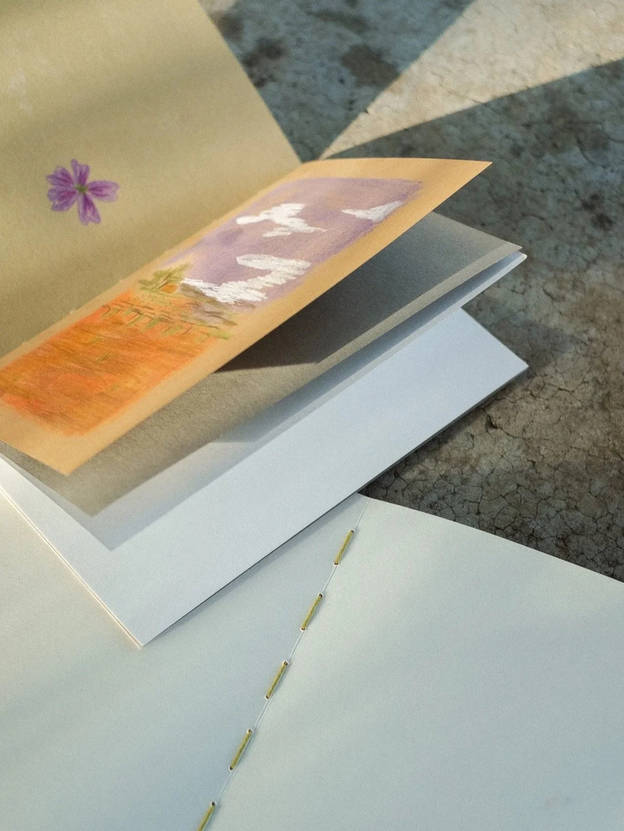 EDICIÓ D’HIVERN / (Del camp) Taller d’enquadernació i il·lustració amb Valtrus i Marina Barberà 