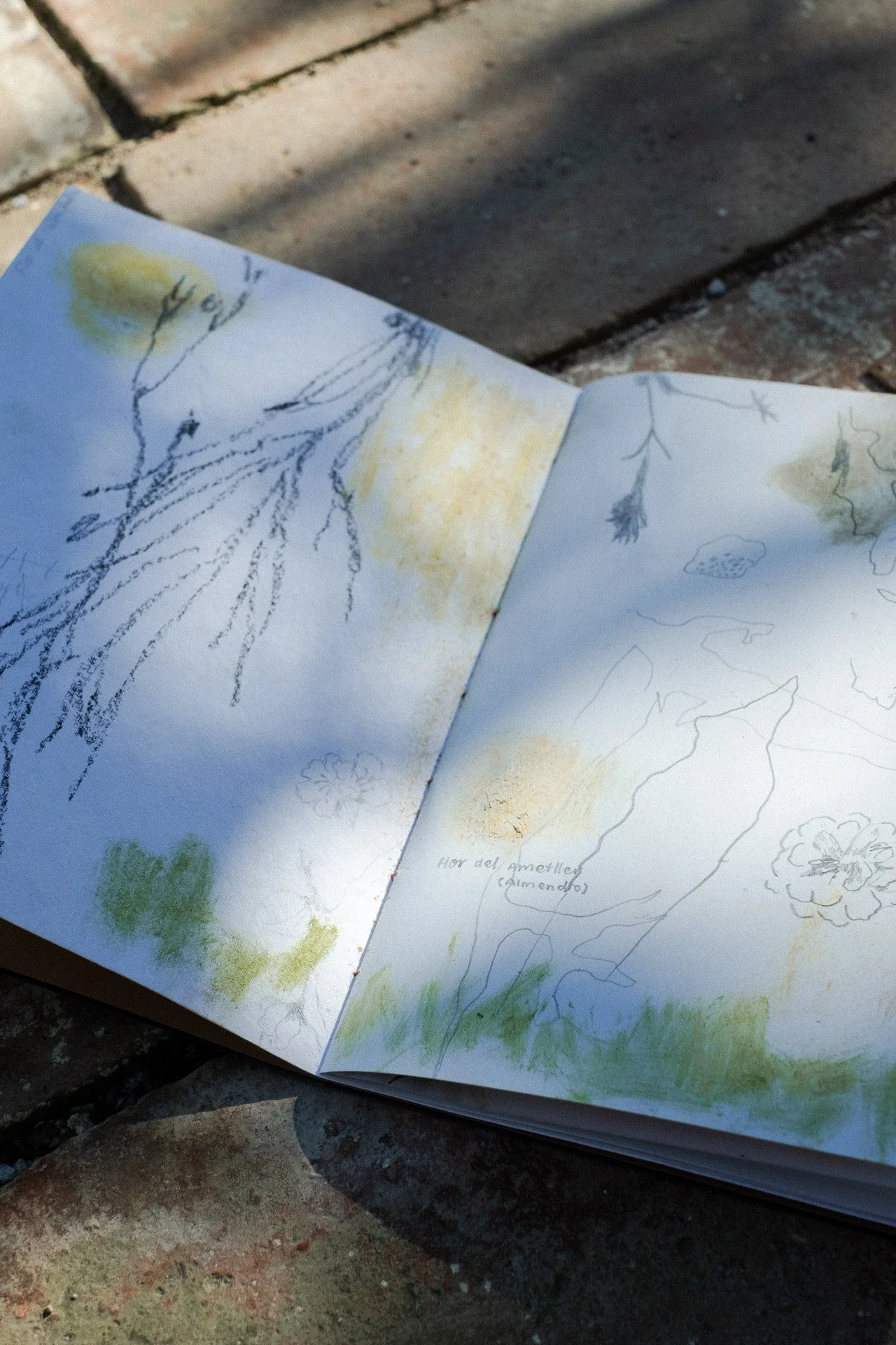 20260221 Taller 'Del camp' (Hivern) x Ariadna Pujol 040 P.jpg