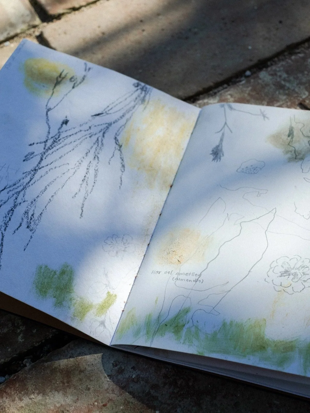 EDICIÓ DE PRIMAVERA / (Del camp) Taller d’enquadernació i il·lustració amb Valtrus i Marina Barberà