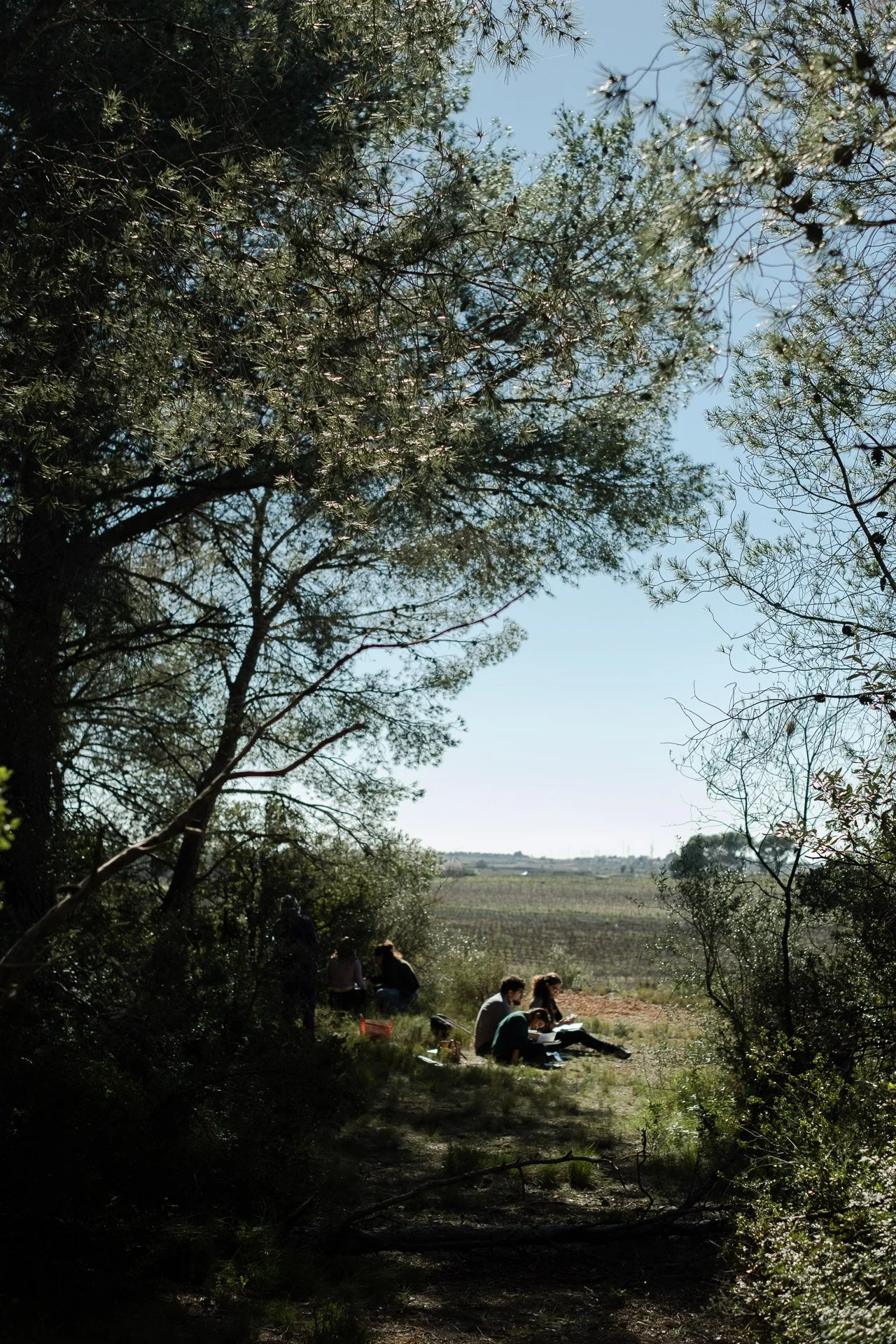 20260221 Taller 'Del camp' (Hivern) x Ariadna Pujol 033 P.jpg