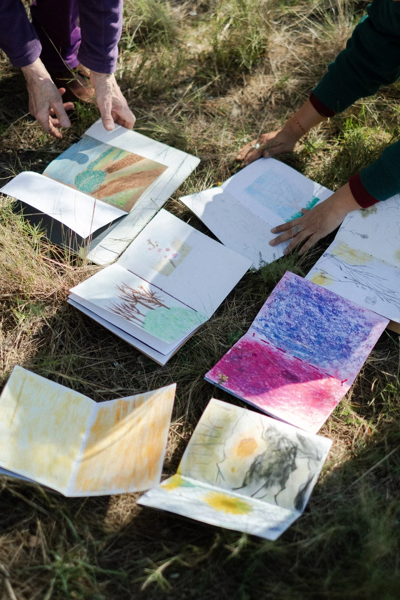 20260221 Taller 'Del camp' (Hivern) x Ariadna Pujol 036 P.jpg