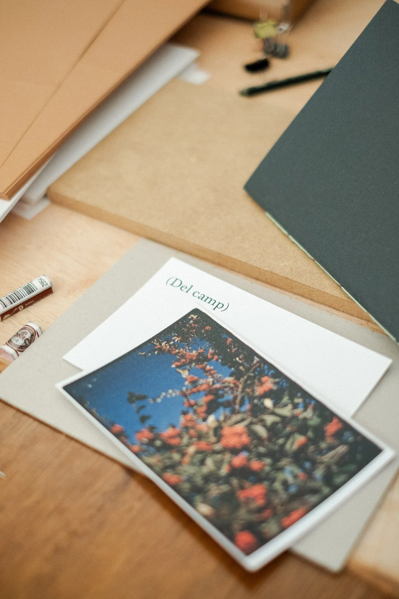 20260221 Taller 'Del camp' (Hivern) x Ariadna Pujol 007 P.jpg