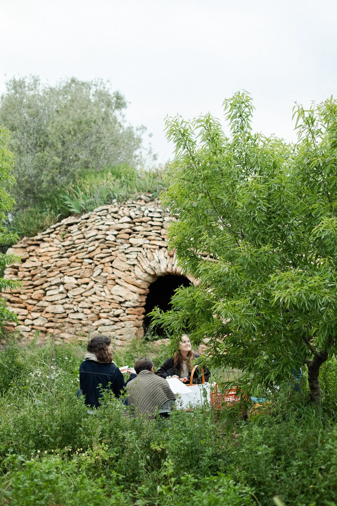 20250424 Taller 'Del camp' (Primavera) x Ariadna Pujol 015 P.jpg