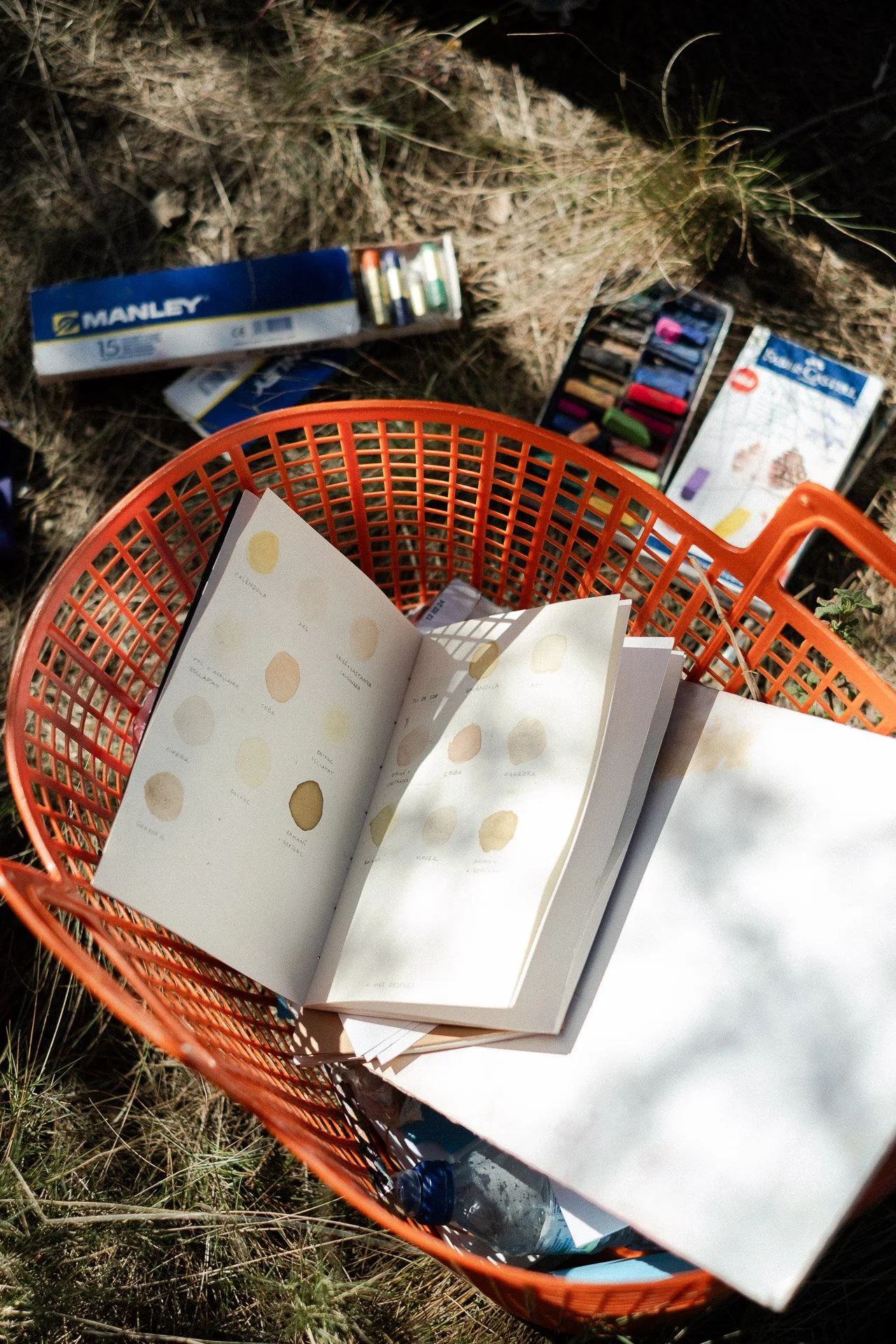 20260221 Taller 'Del camp' (Hivern) x Ariadna Pujol 035 P.jpg