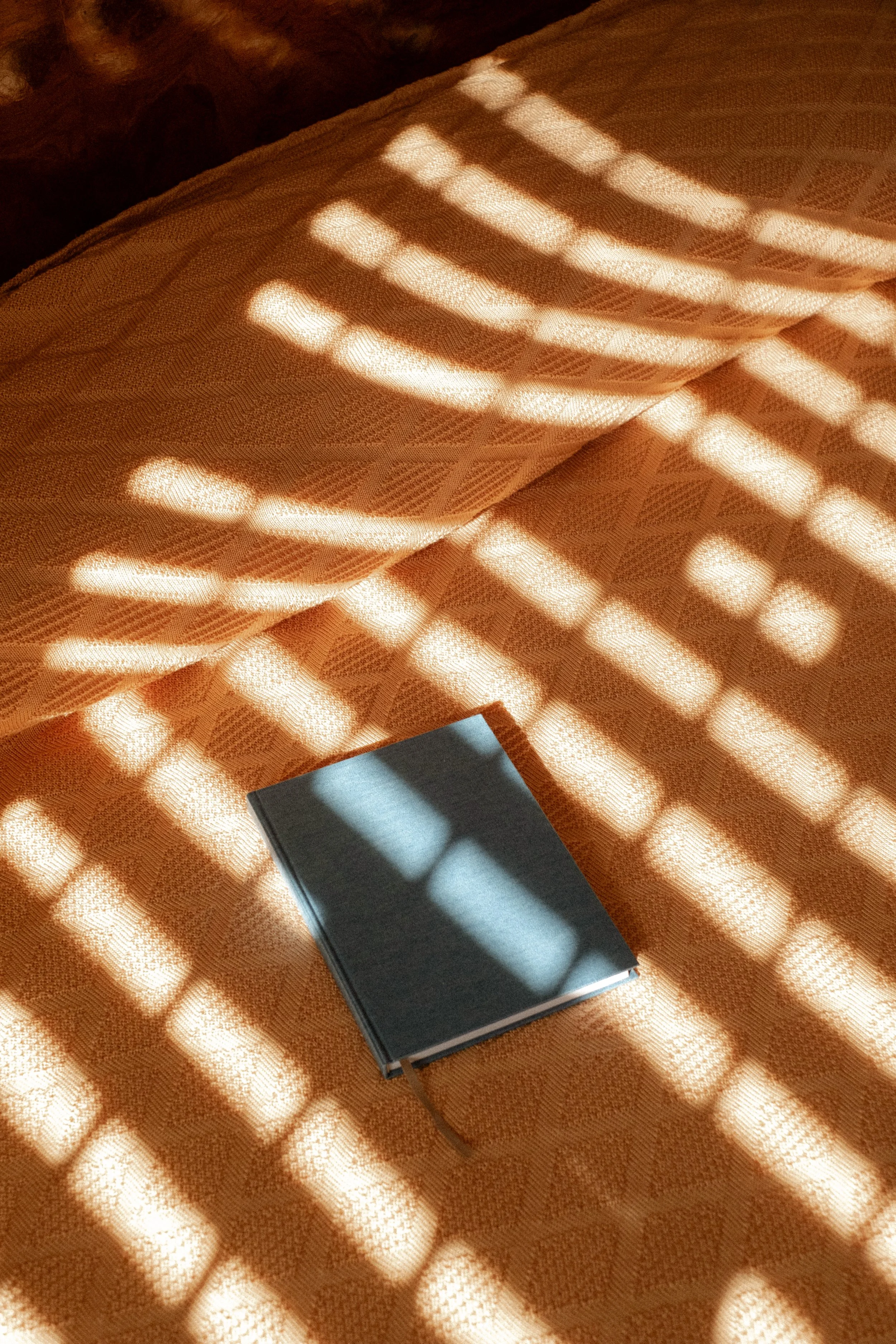 20251104 AW2526 53.jpg