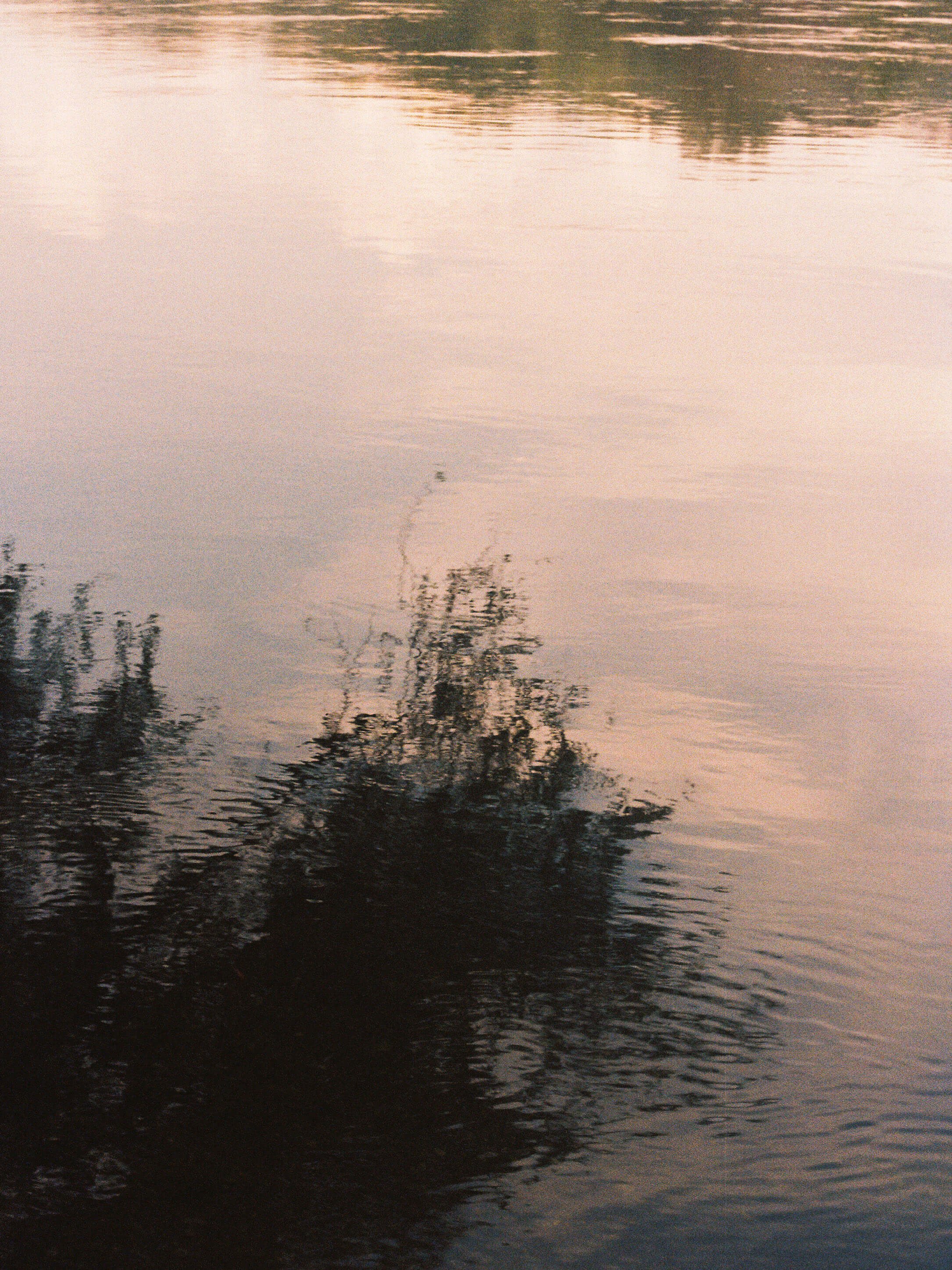 Fotografia (30x40) [Terres de l'Ebre 01] x Ariadna Pujol ●