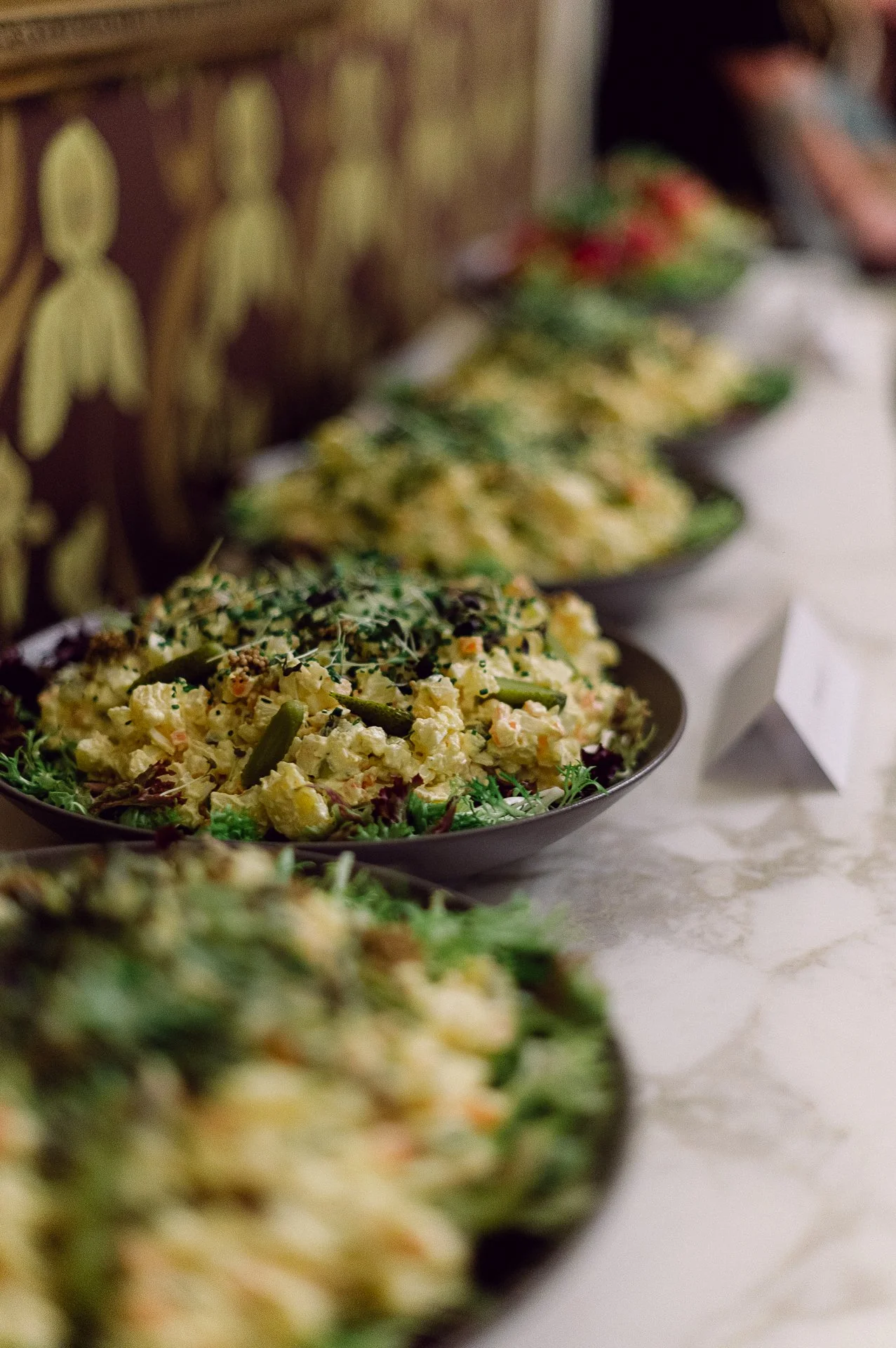 villa richter 60-446.jpg