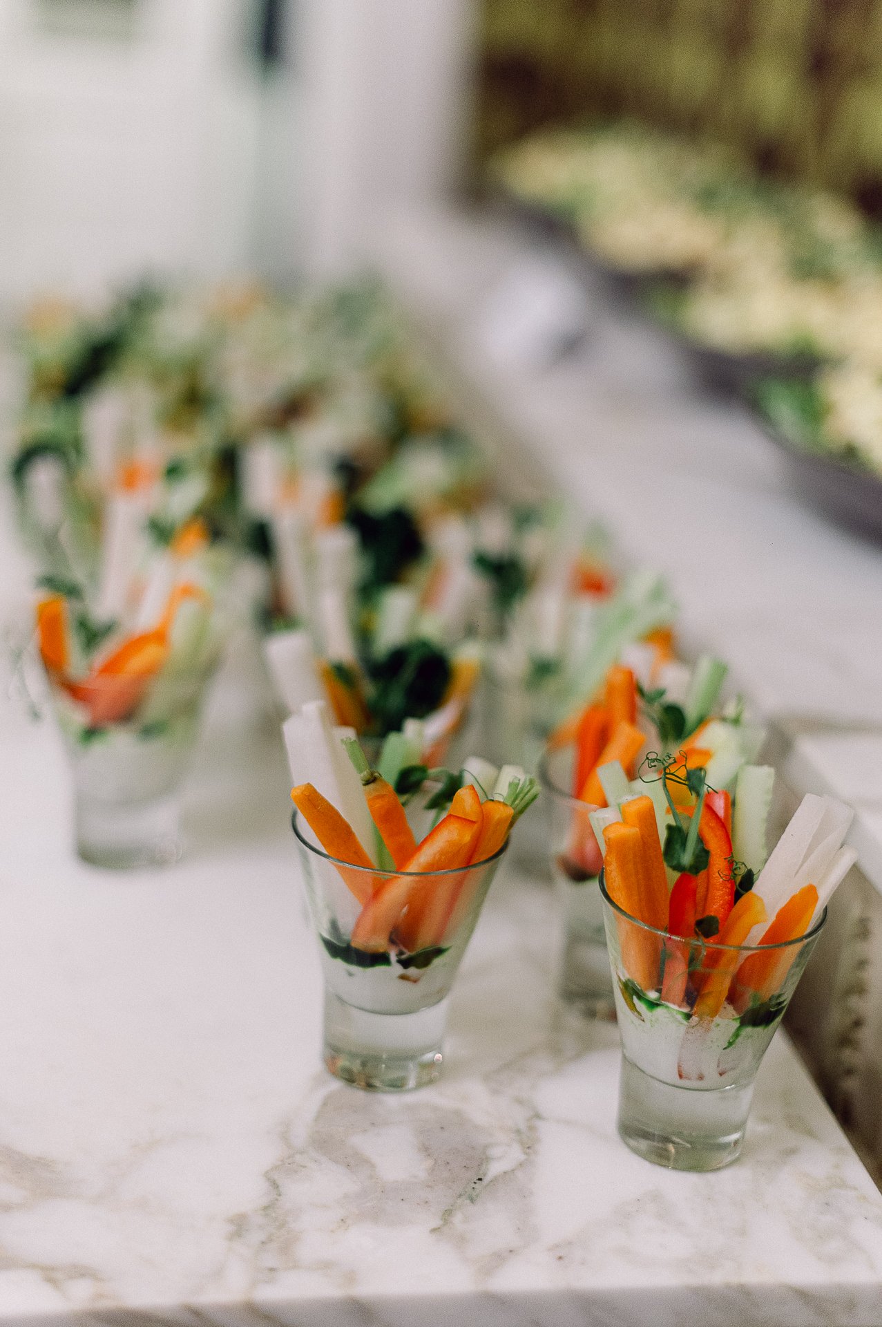 villa richter 60-445.jpg