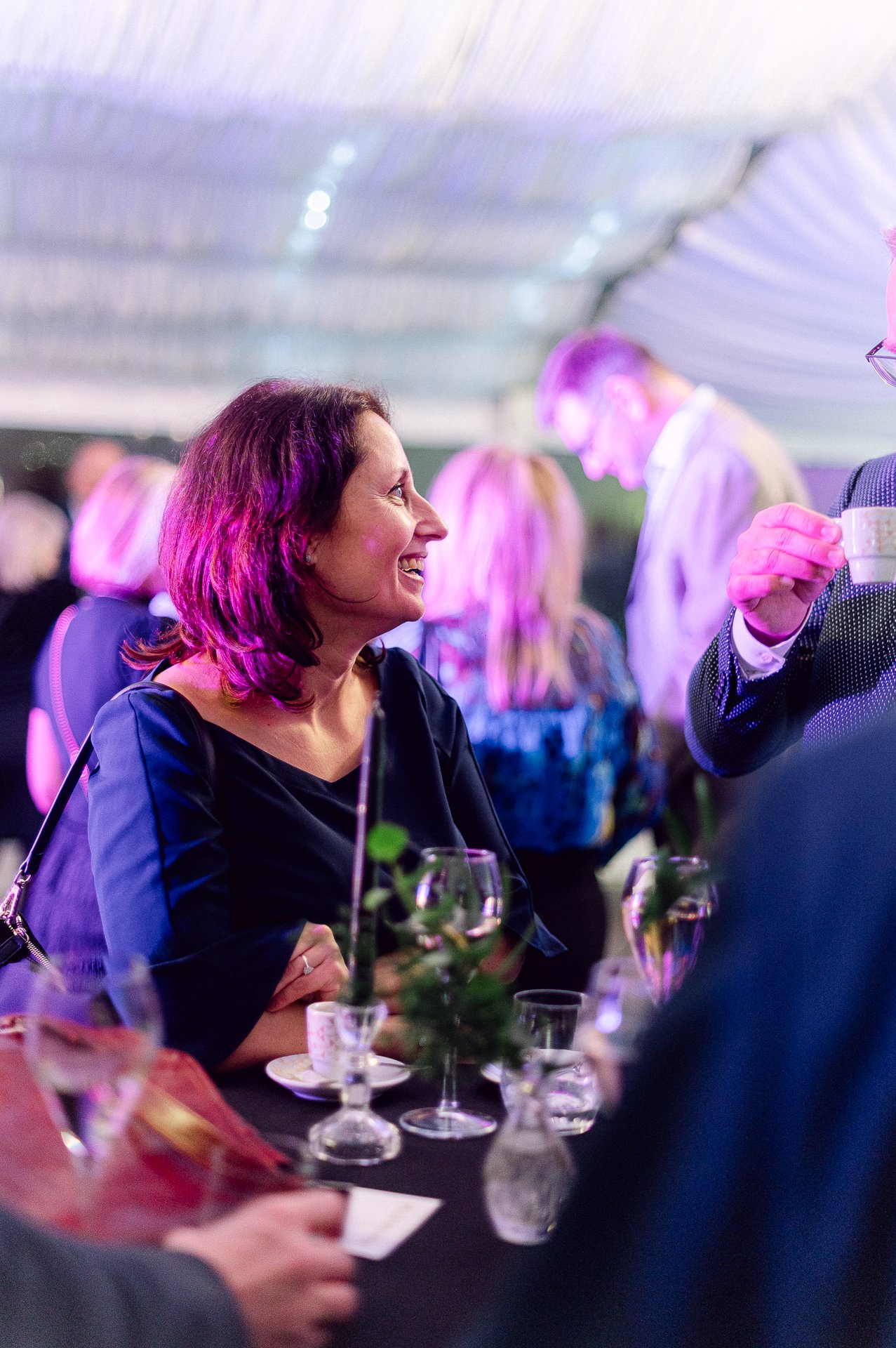 villa richter 60-406.jpg