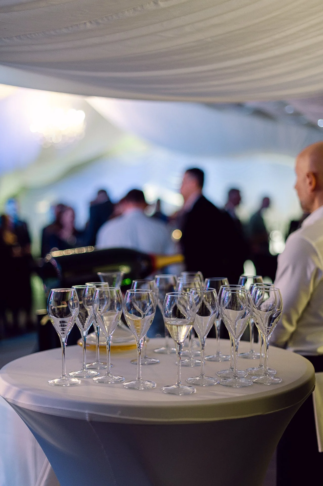 villa richter 60-380.jpg