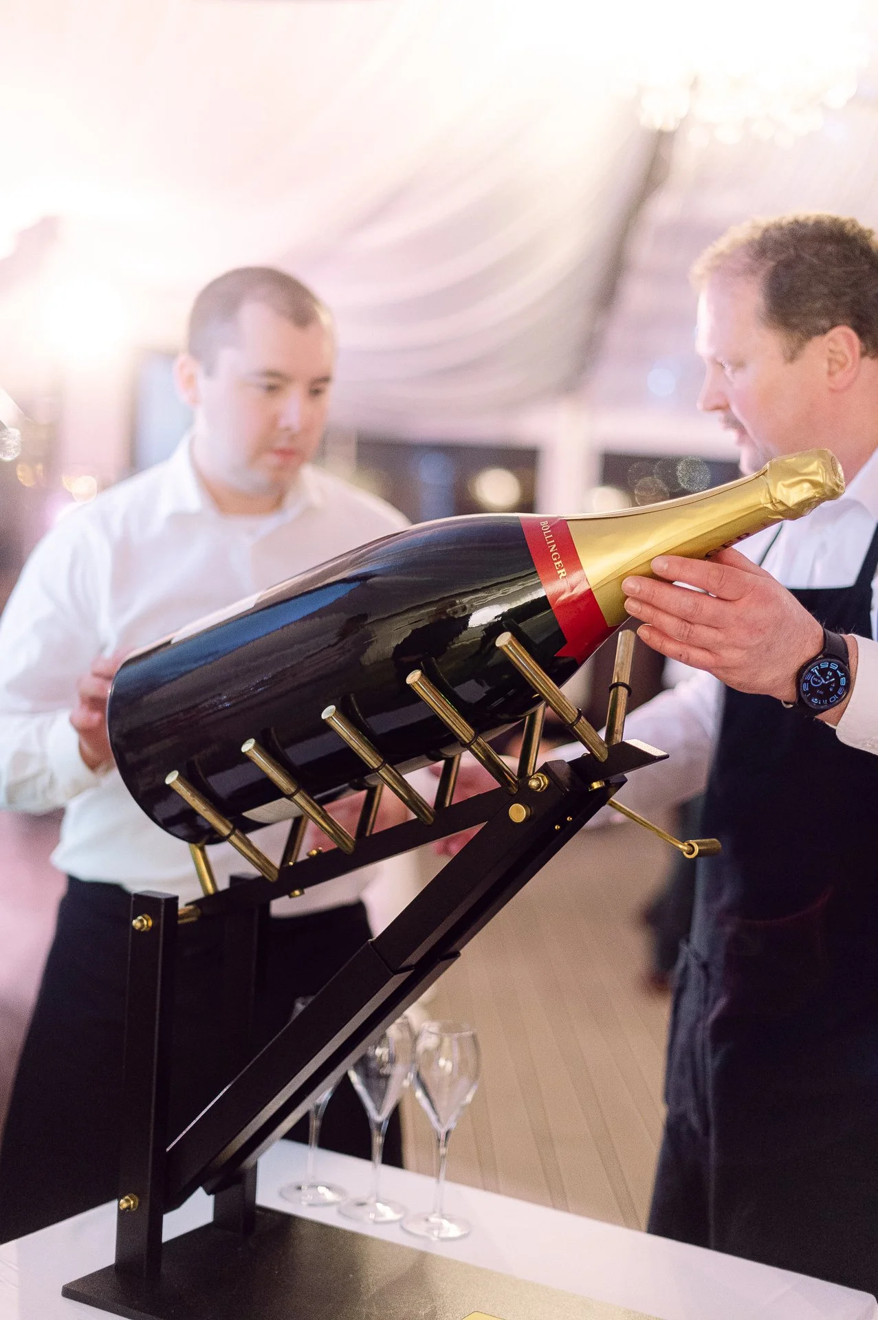 villa richter 60-333.jpg