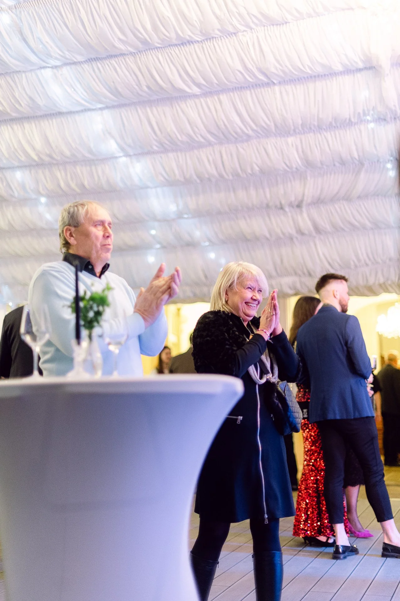 villa richter 60-321.jpg