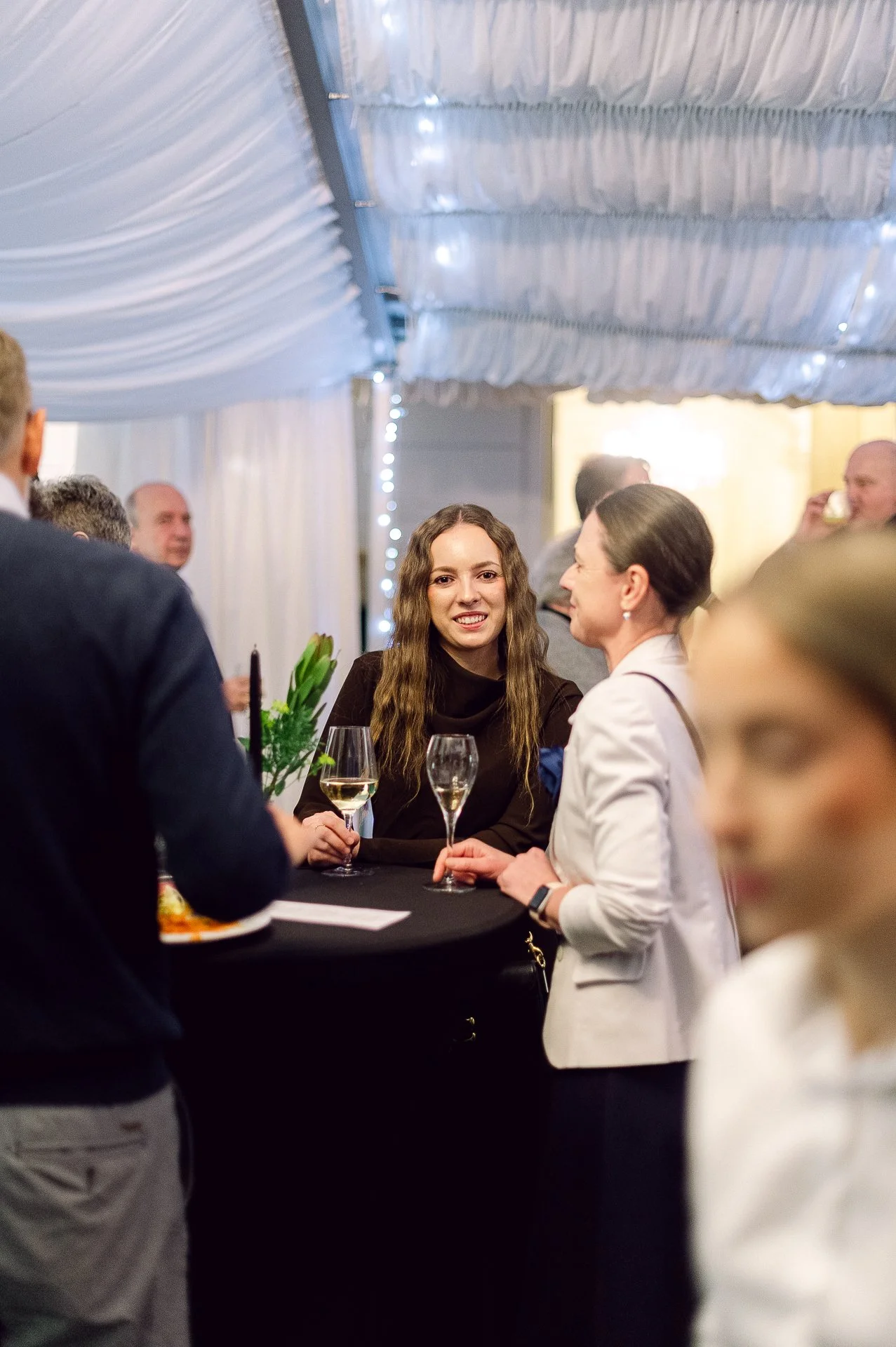 villa richter 60-266.jpg