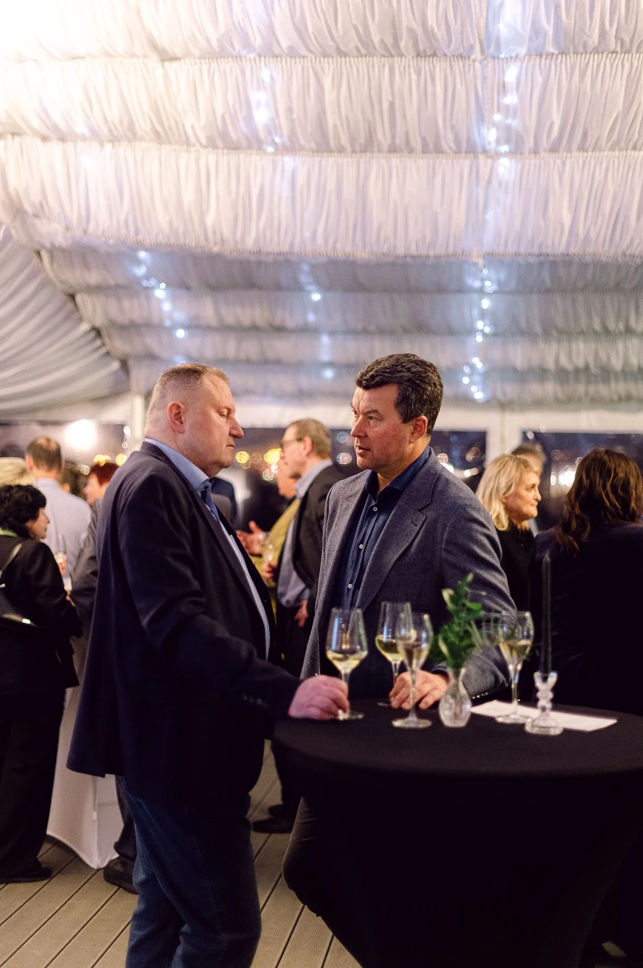 villa richter 60-268.jpg