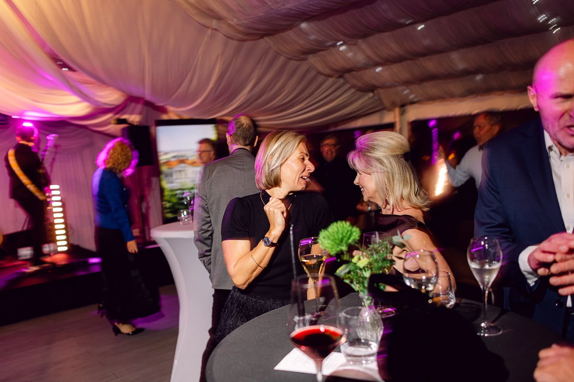 villa richter 60-425.jpg