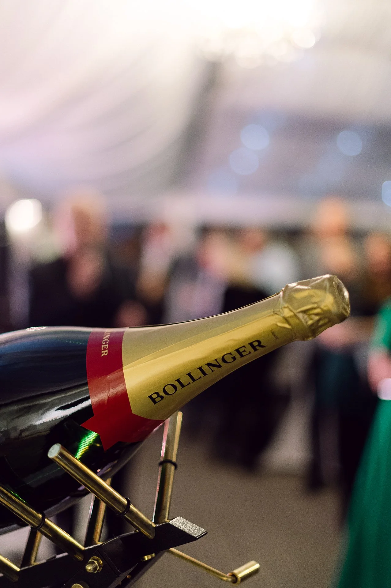 villa richter 60-345.jpg