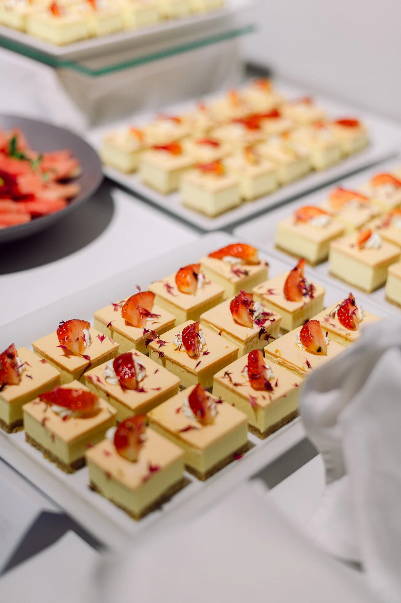 villa richter 60-249.jpg