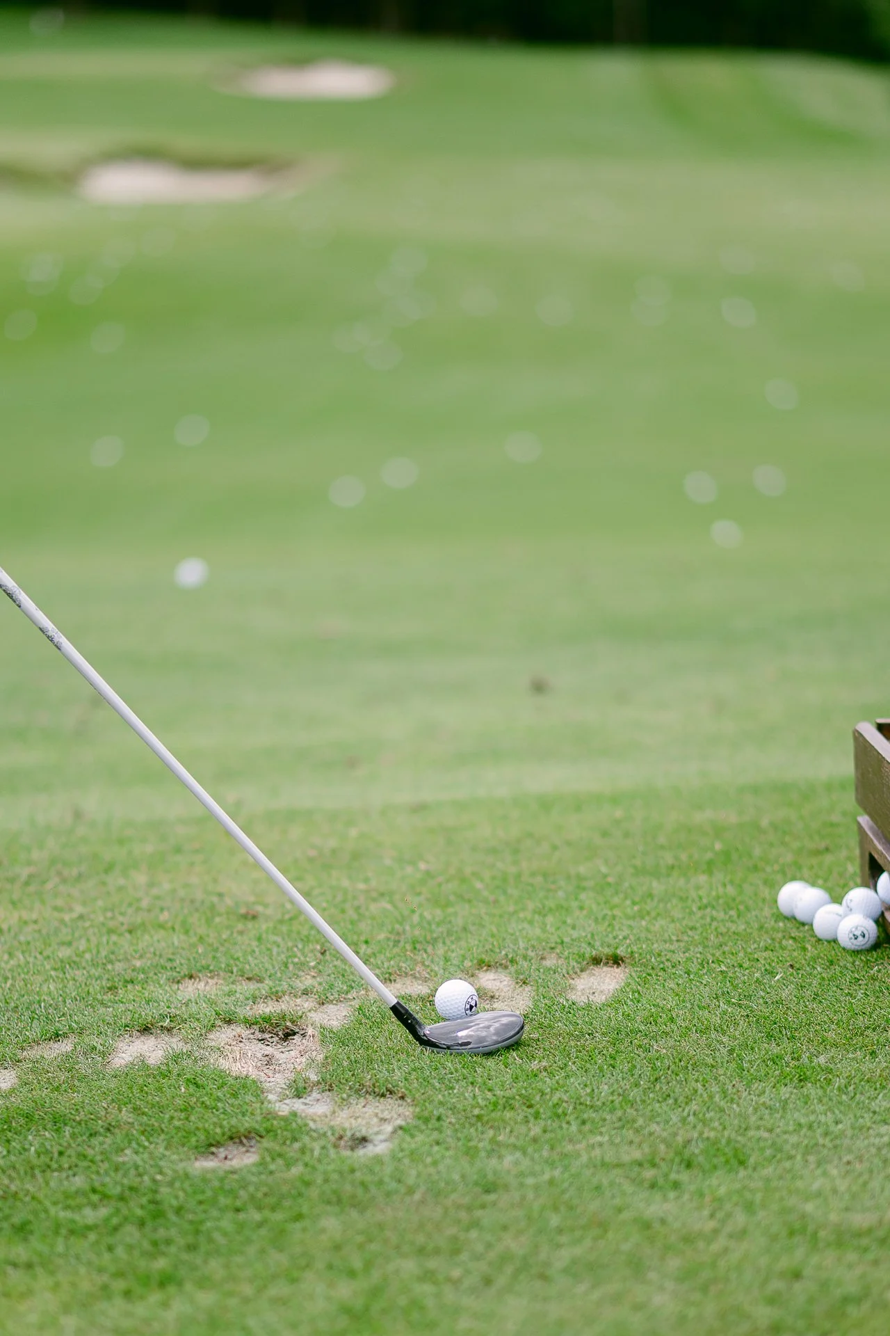 WellClub OAKS 15.6.-134.jpg