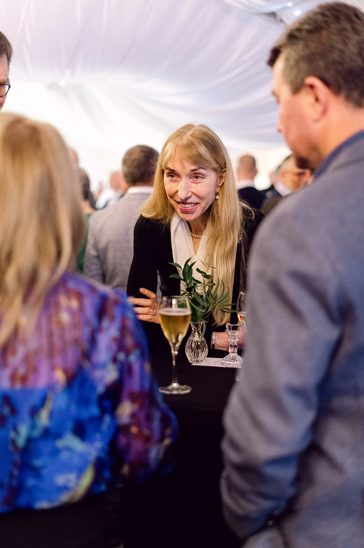 villa richter 60-260.jpg