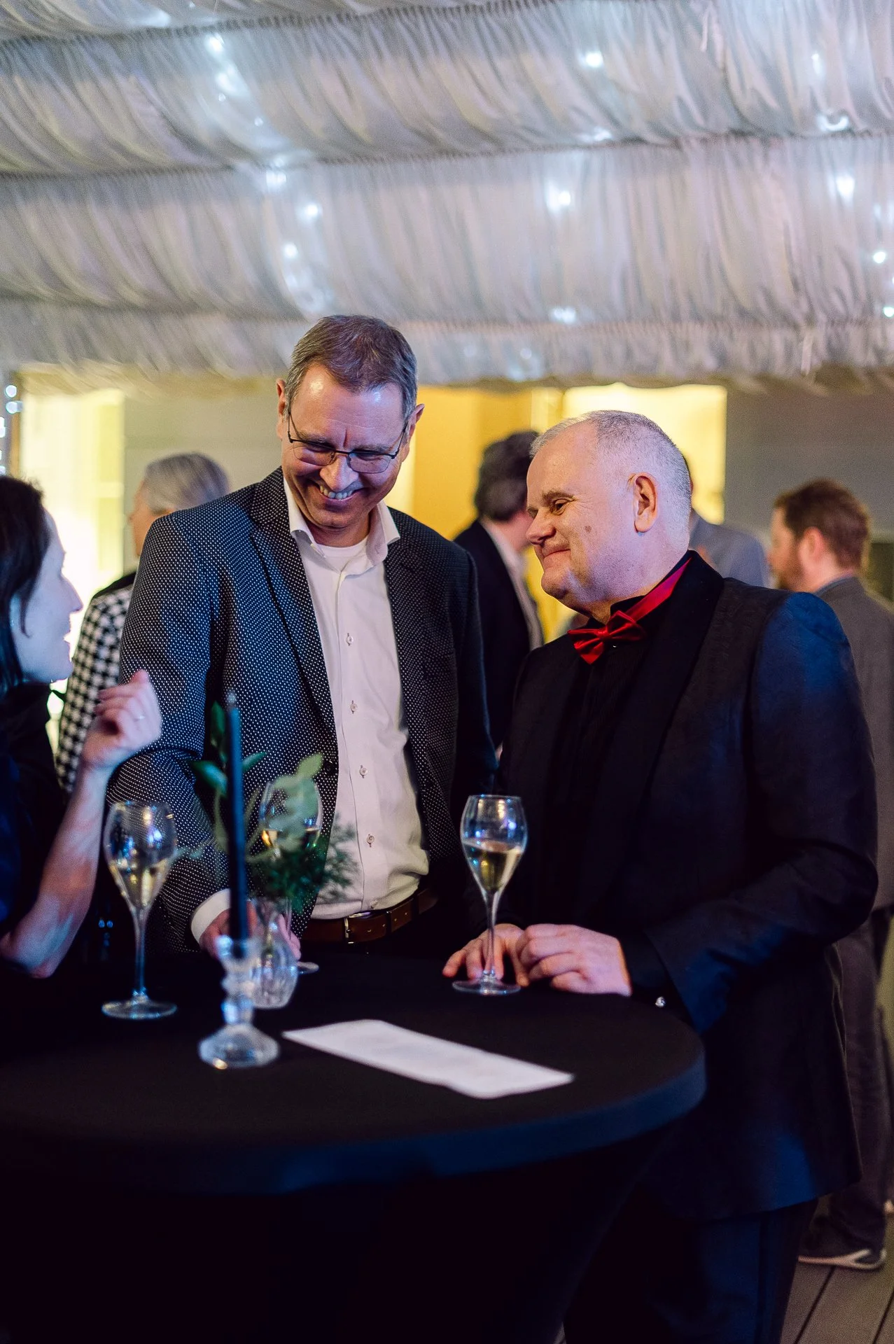 villa richter 60-386.jpg