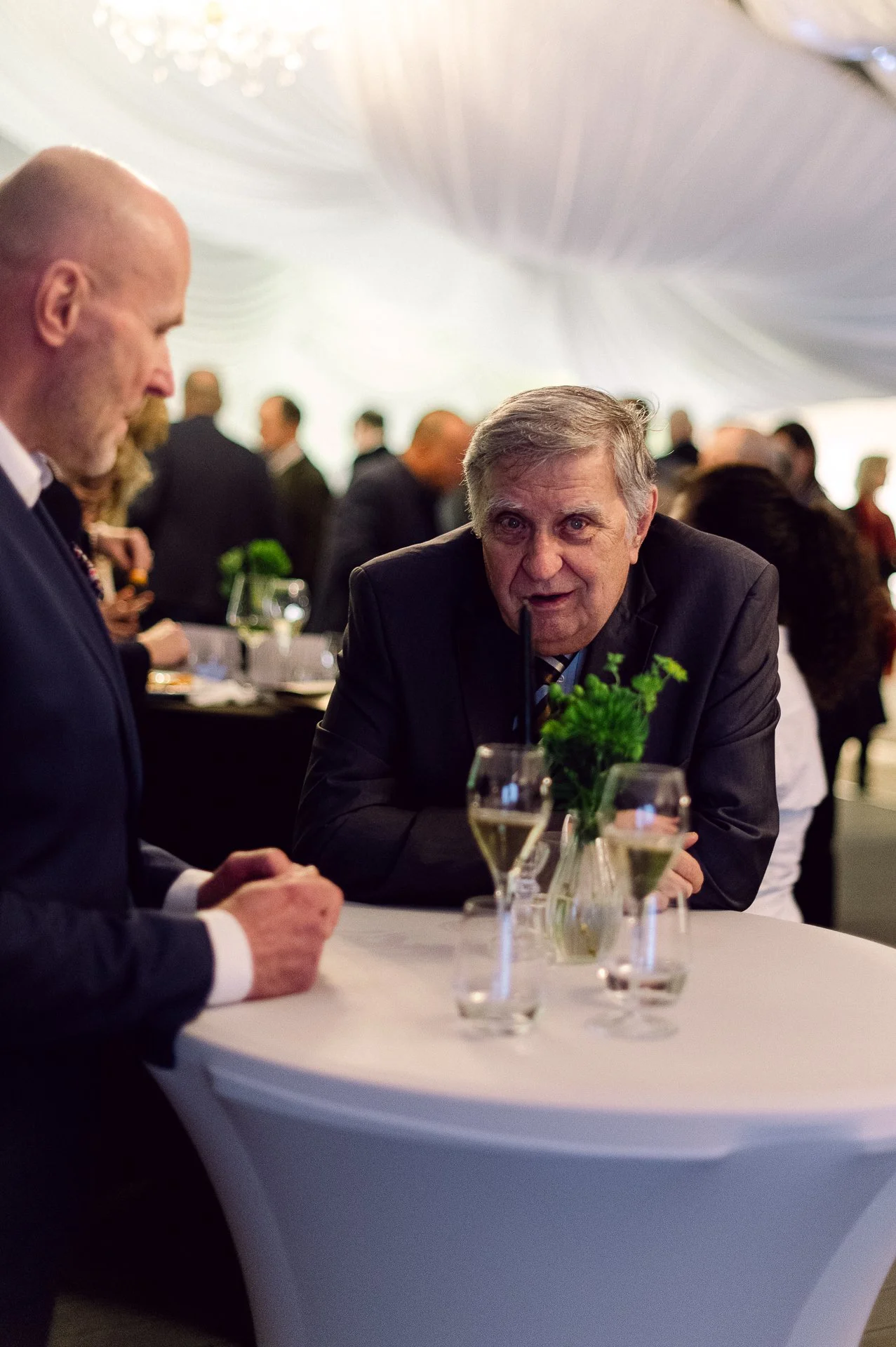 villa richter 60-280.jpg