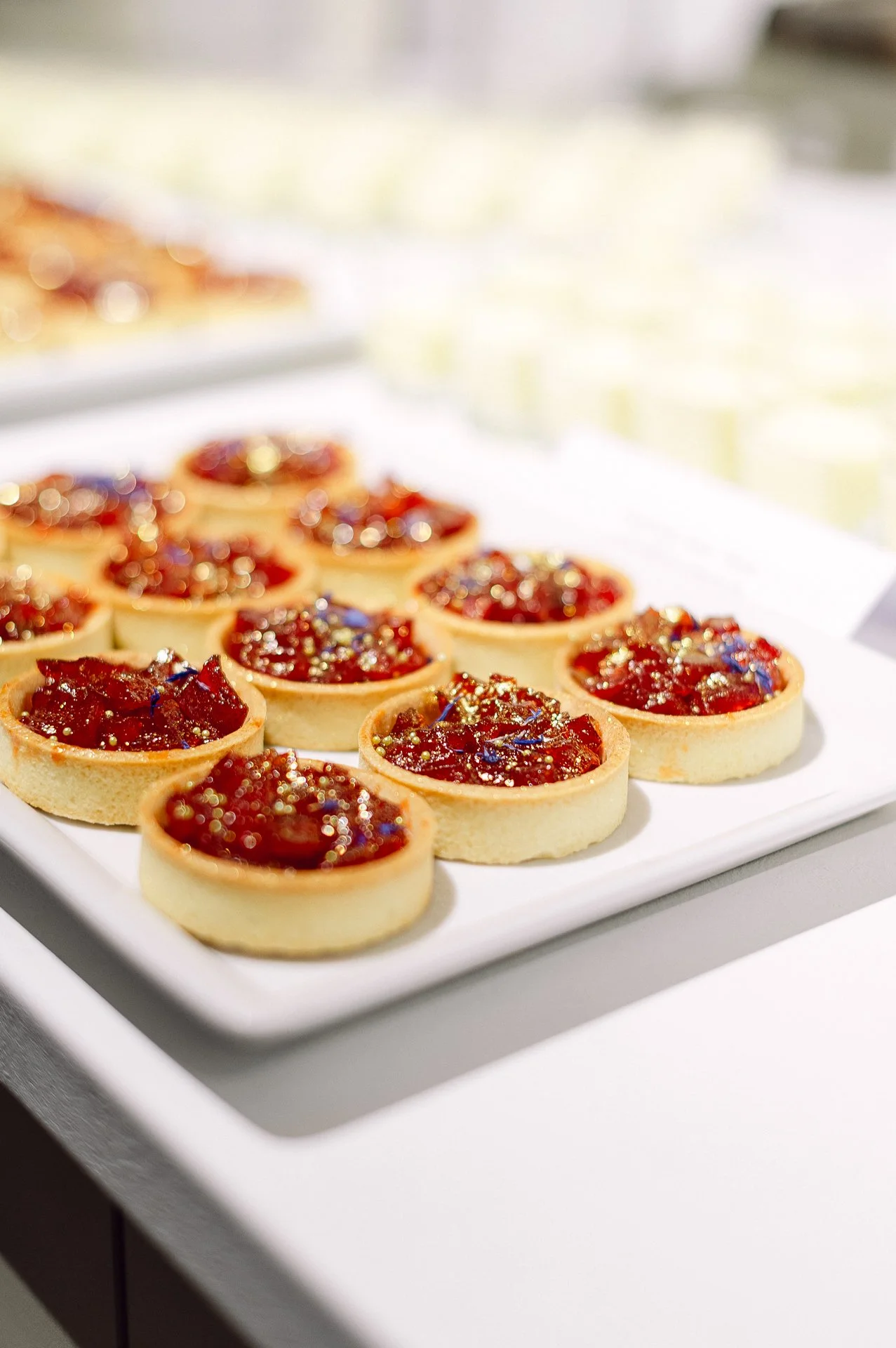 villa richter 60-250.jpg