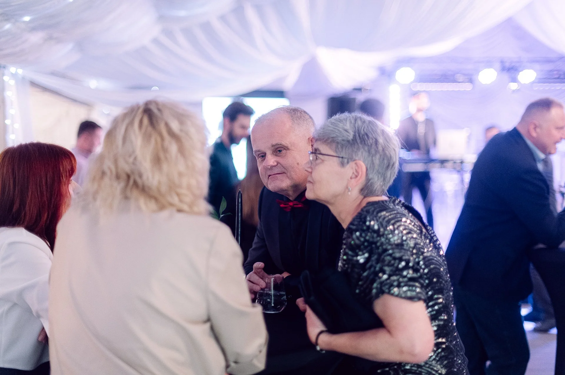 villa richter 60-318.jpg