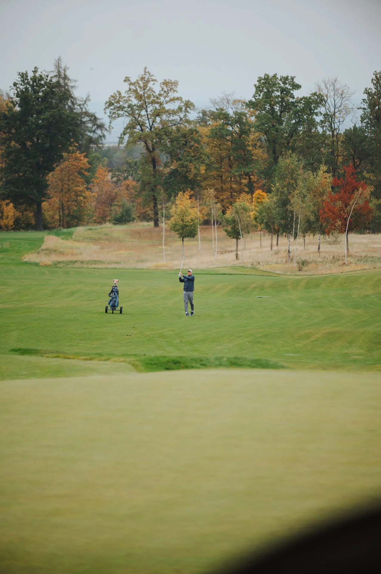 Oaks Rijen-44.jpg