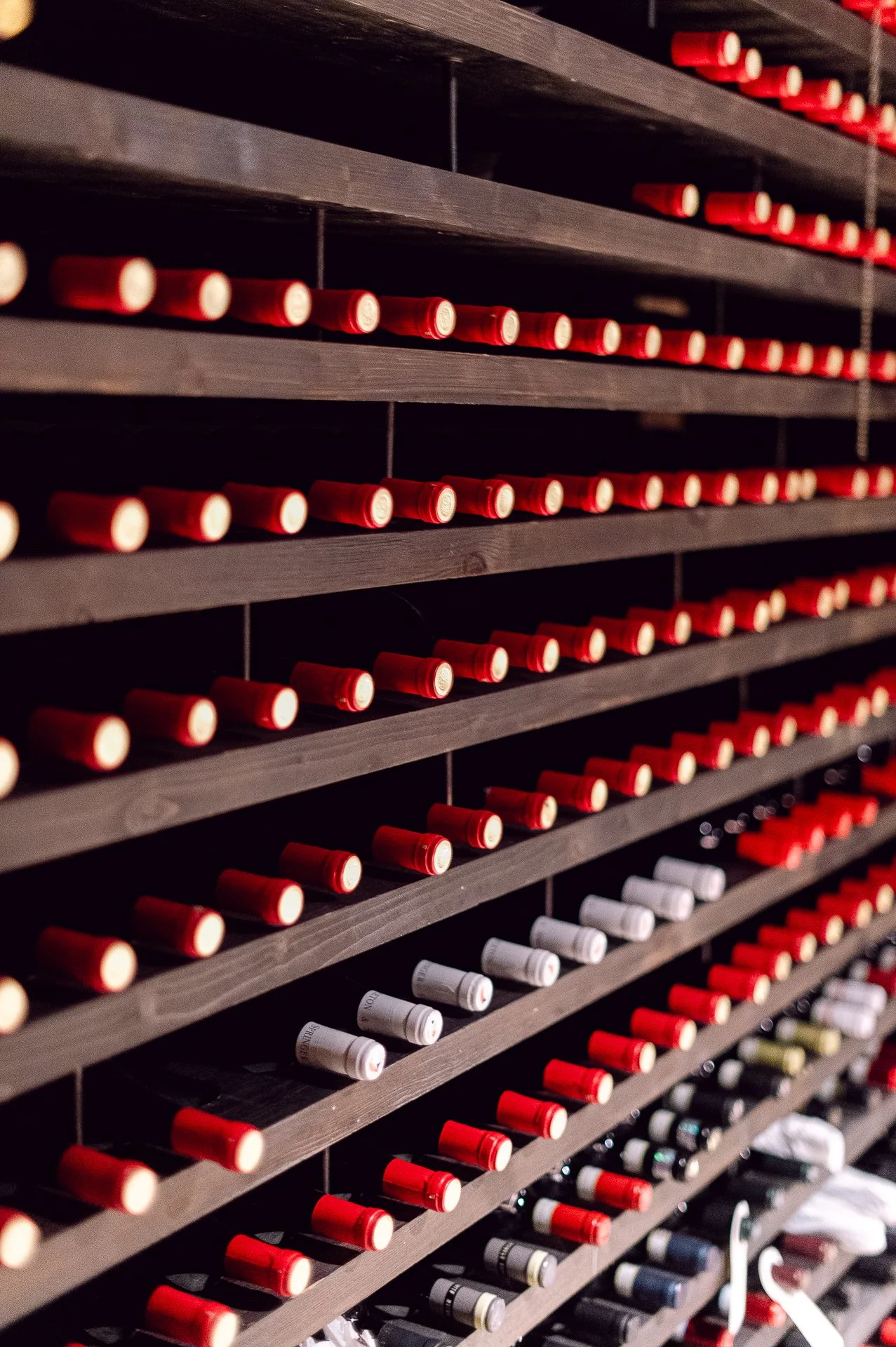 villa richter 60-274.jpg