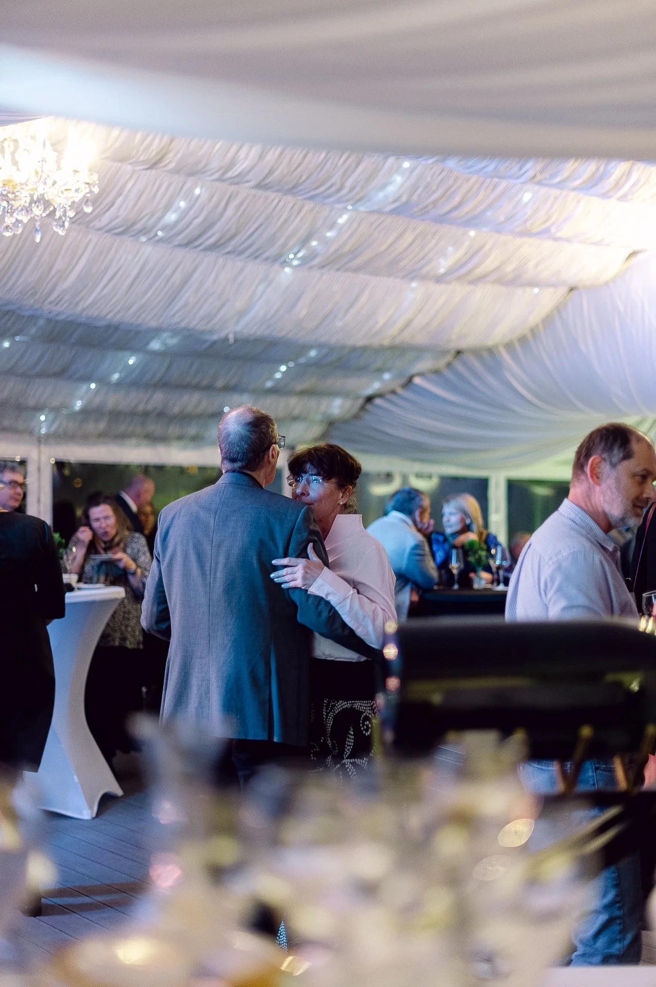 villa richter 60-388.jpg