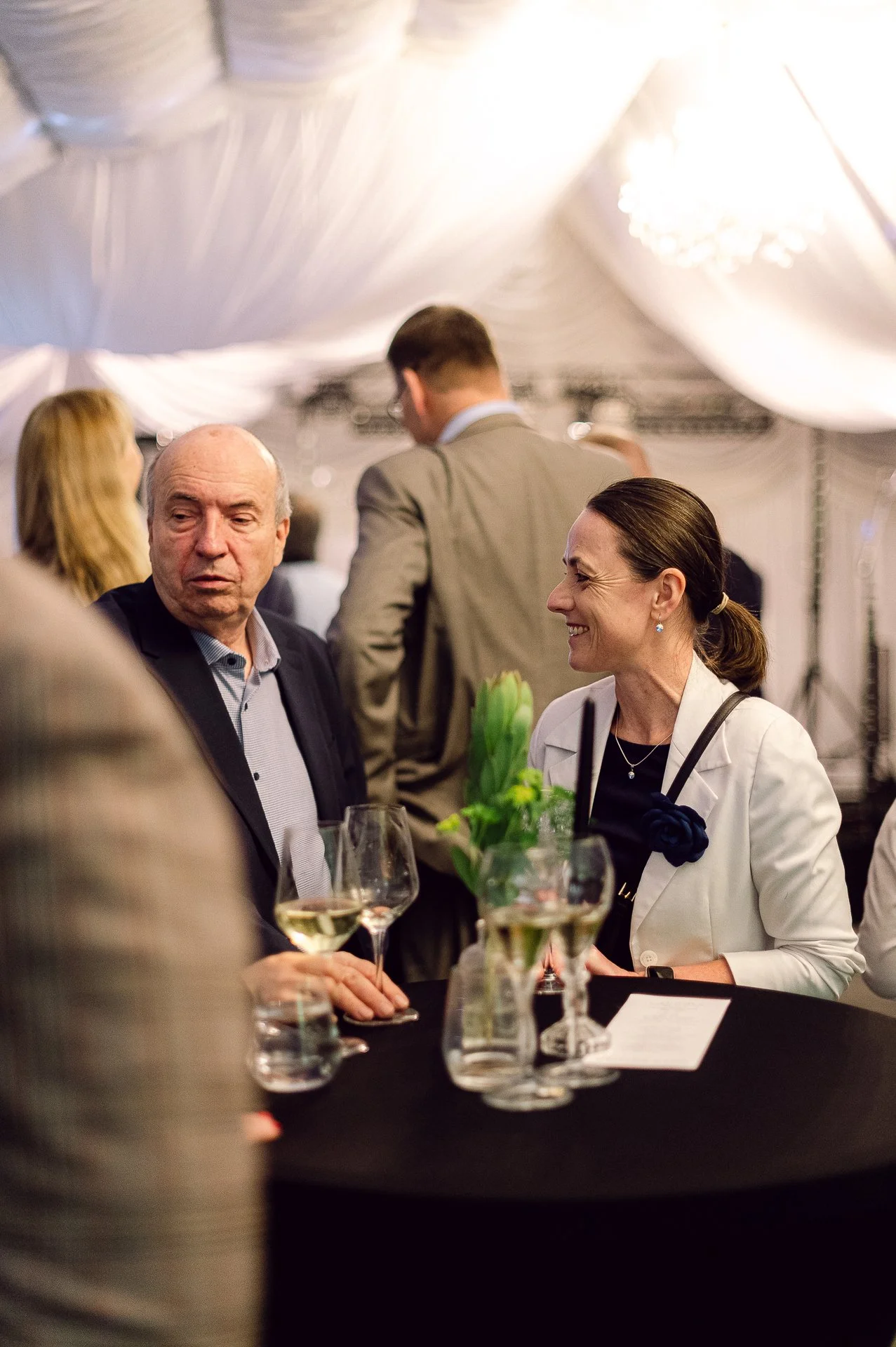 villa richter 60-265.jpg