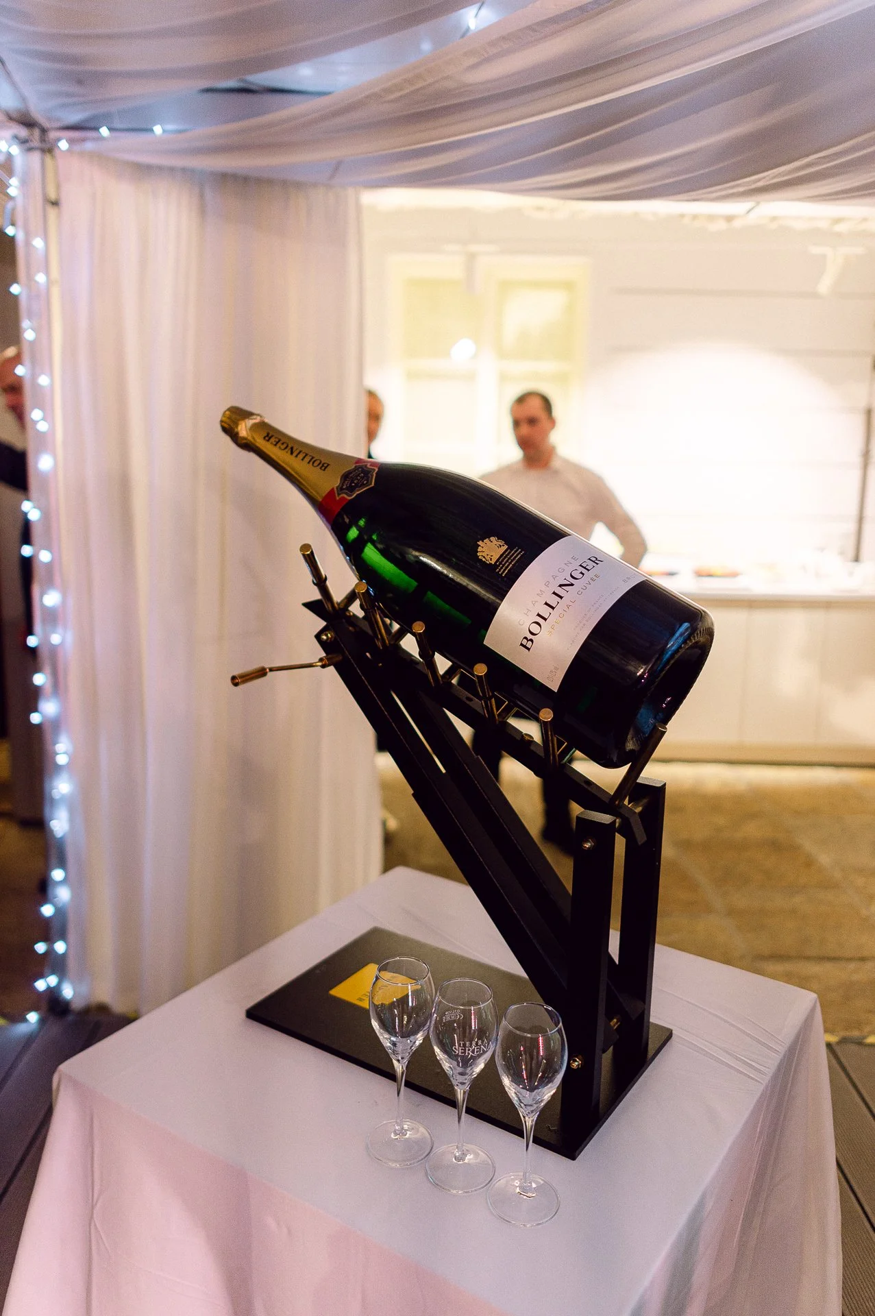 villa richter 60-371.jpg