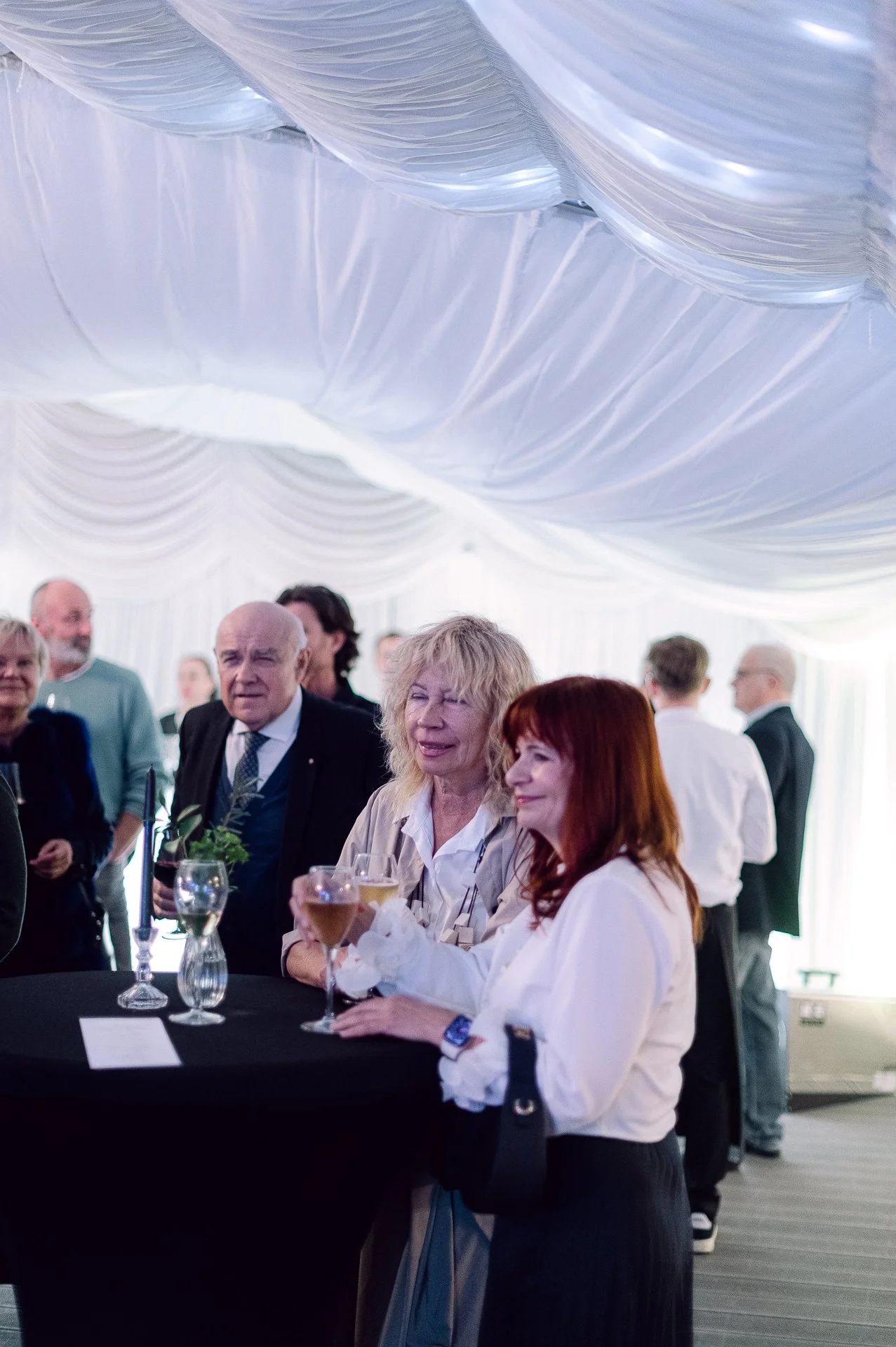 villa richter 60-308.jpg