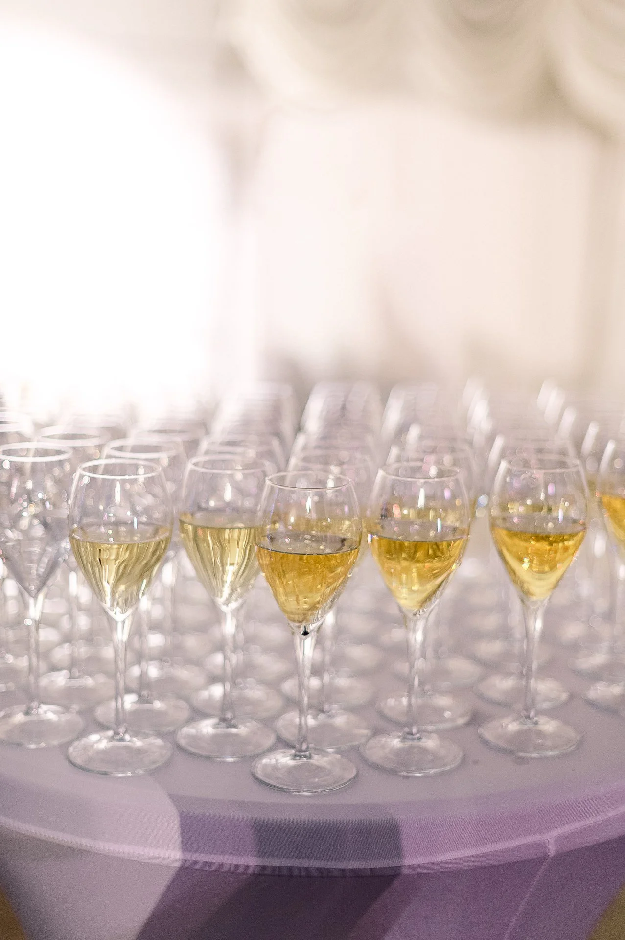 villa richter 60-367.jpg