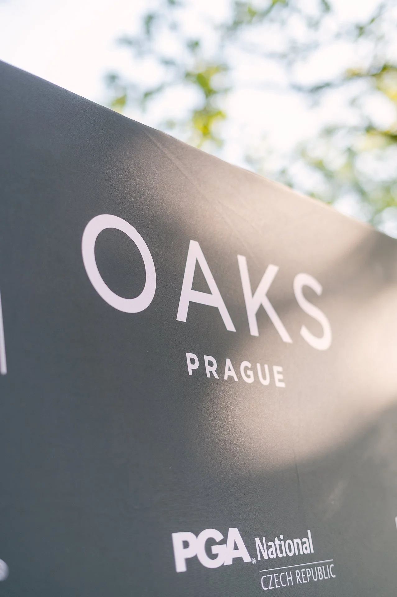 OAKS Mistri 2026-16.jpg