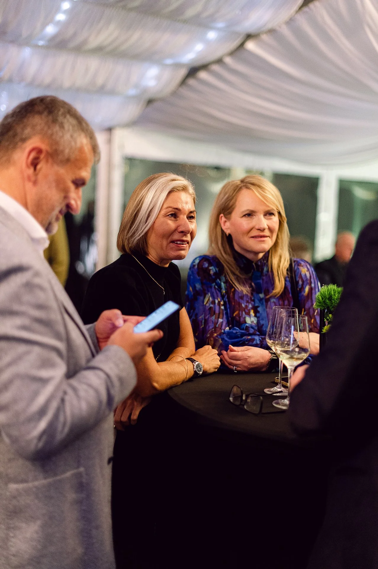 villa richter 60-330.jpg