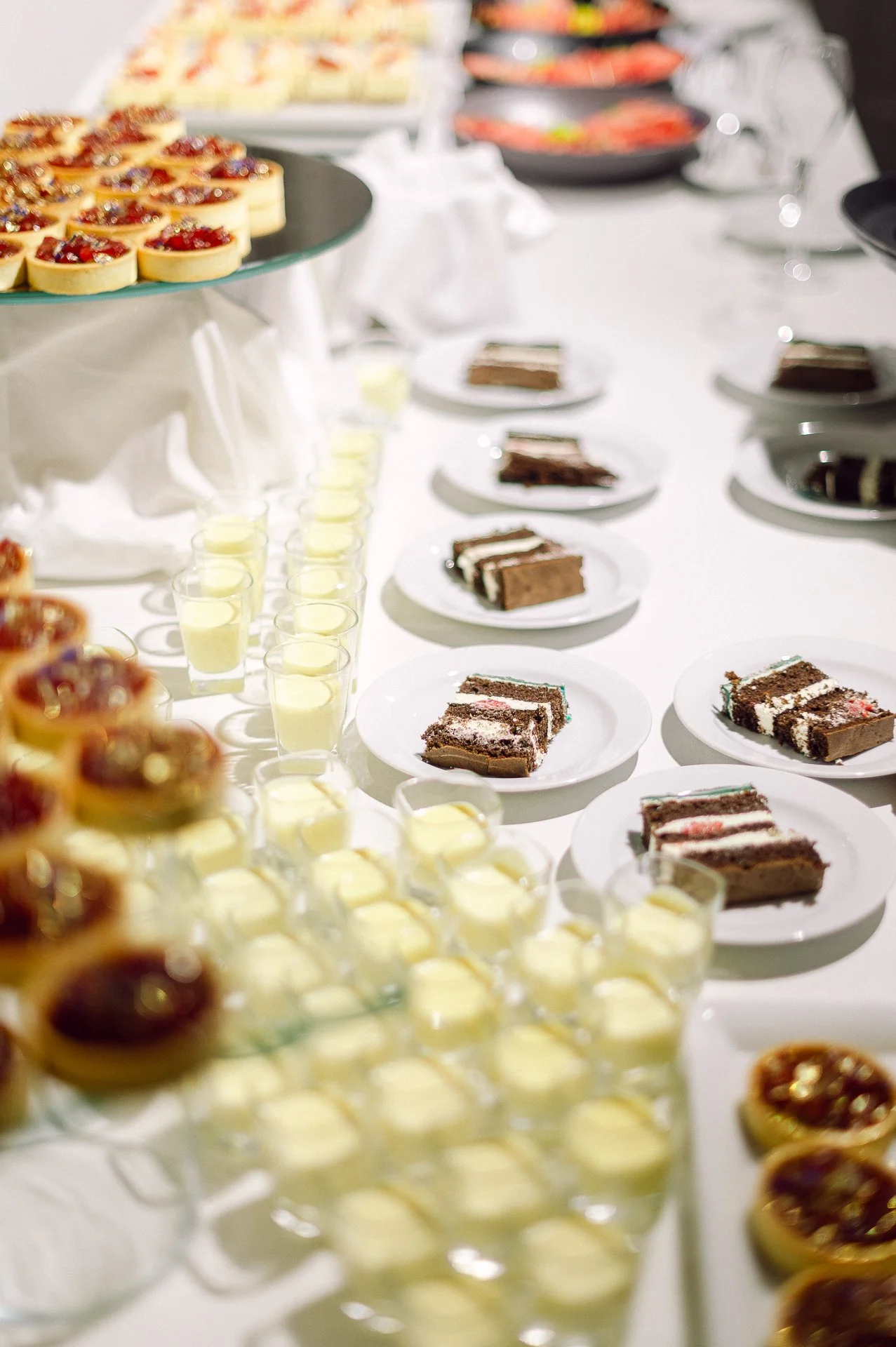 villa richter 60-385.jpg