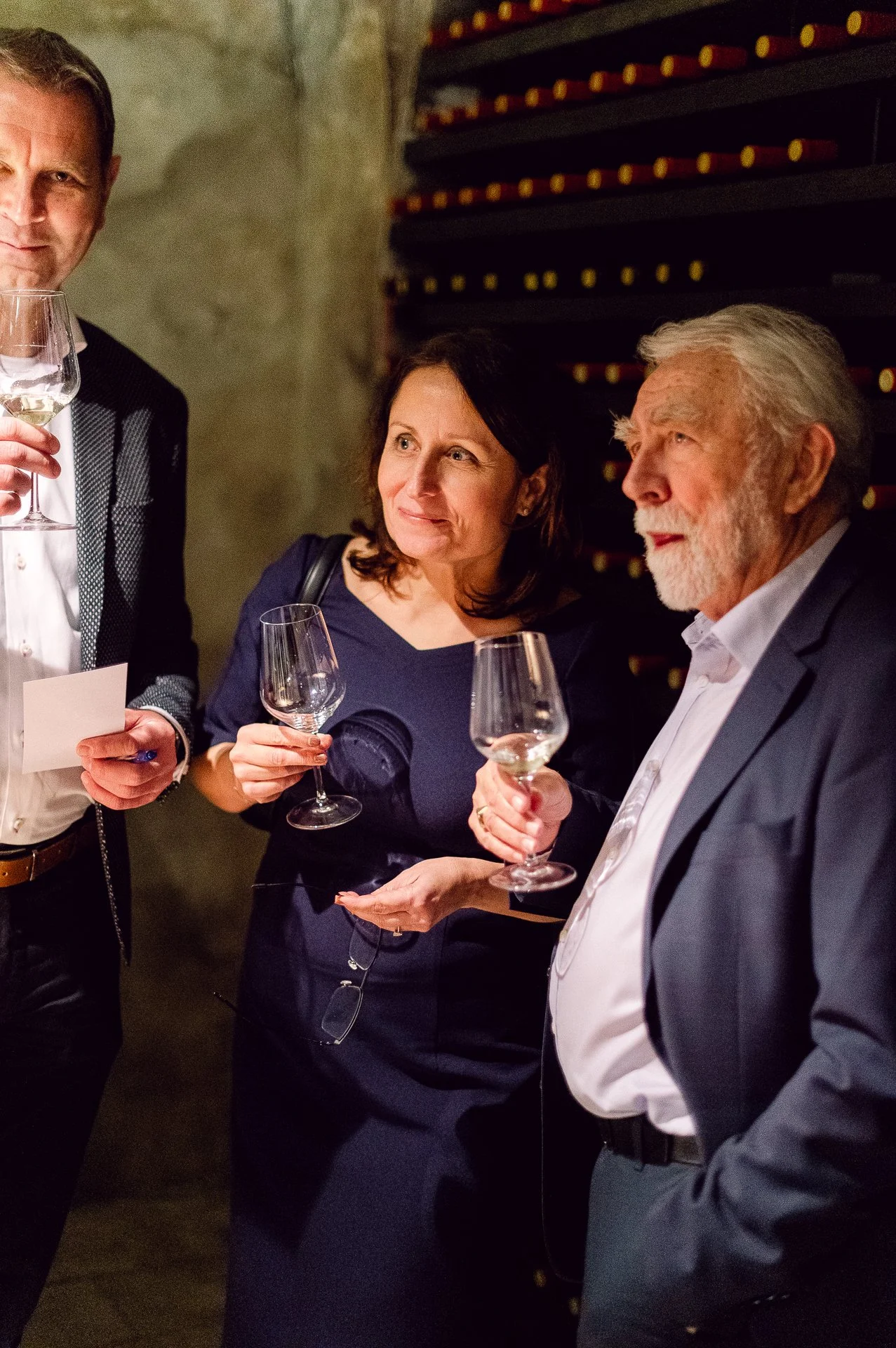 villa richter 60-311.jpg