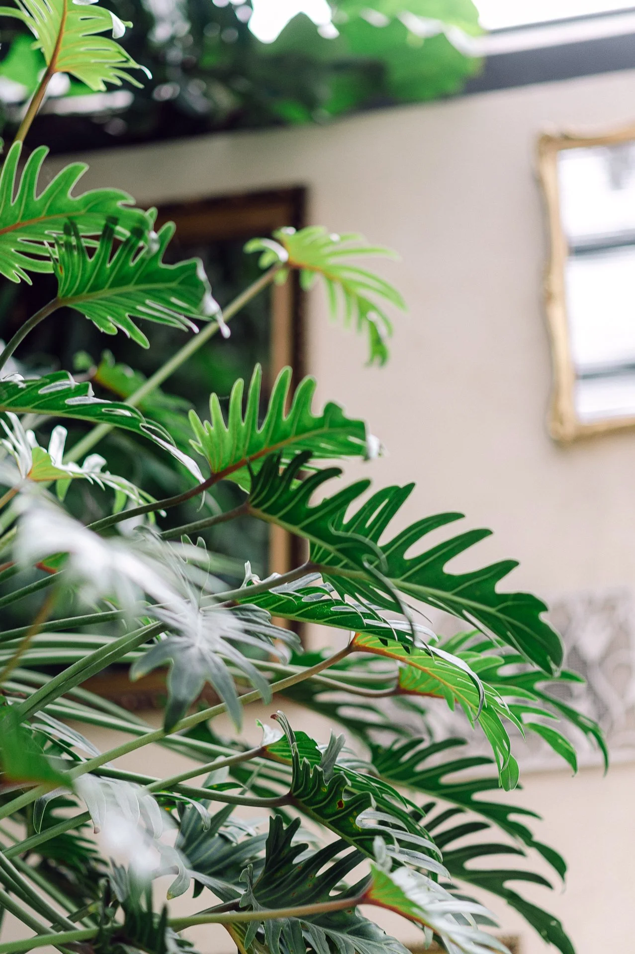 villa richter 60-13.jpg