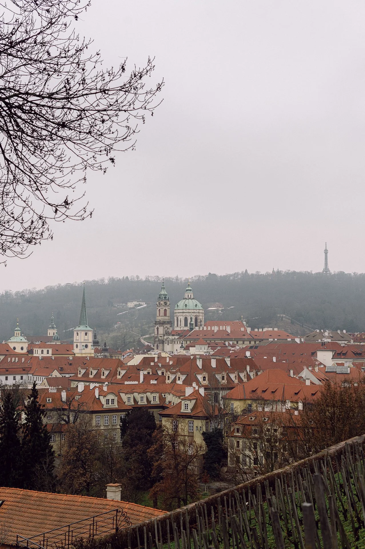 villa richter 60-16.jpg